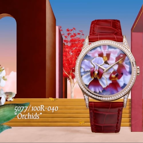 Patek Philippe Calatrava 5077 Rose Gold / Orchids