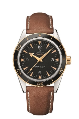 Omega Seamaster 300 Master Co-Axial Steel Stainless Steel / Yellow Gold / Black / Strap