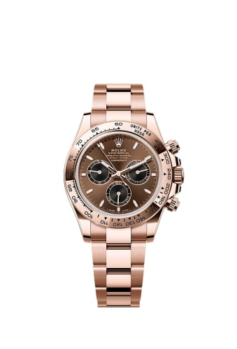 Rolex Cosmograph Daytona Everose / Chocolate / Oyster