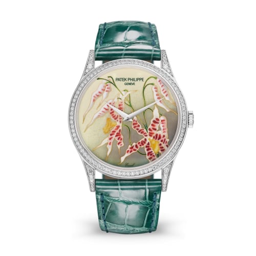 Patek Philippe Calatrava 5077 White Gold / Diamond / Orchids