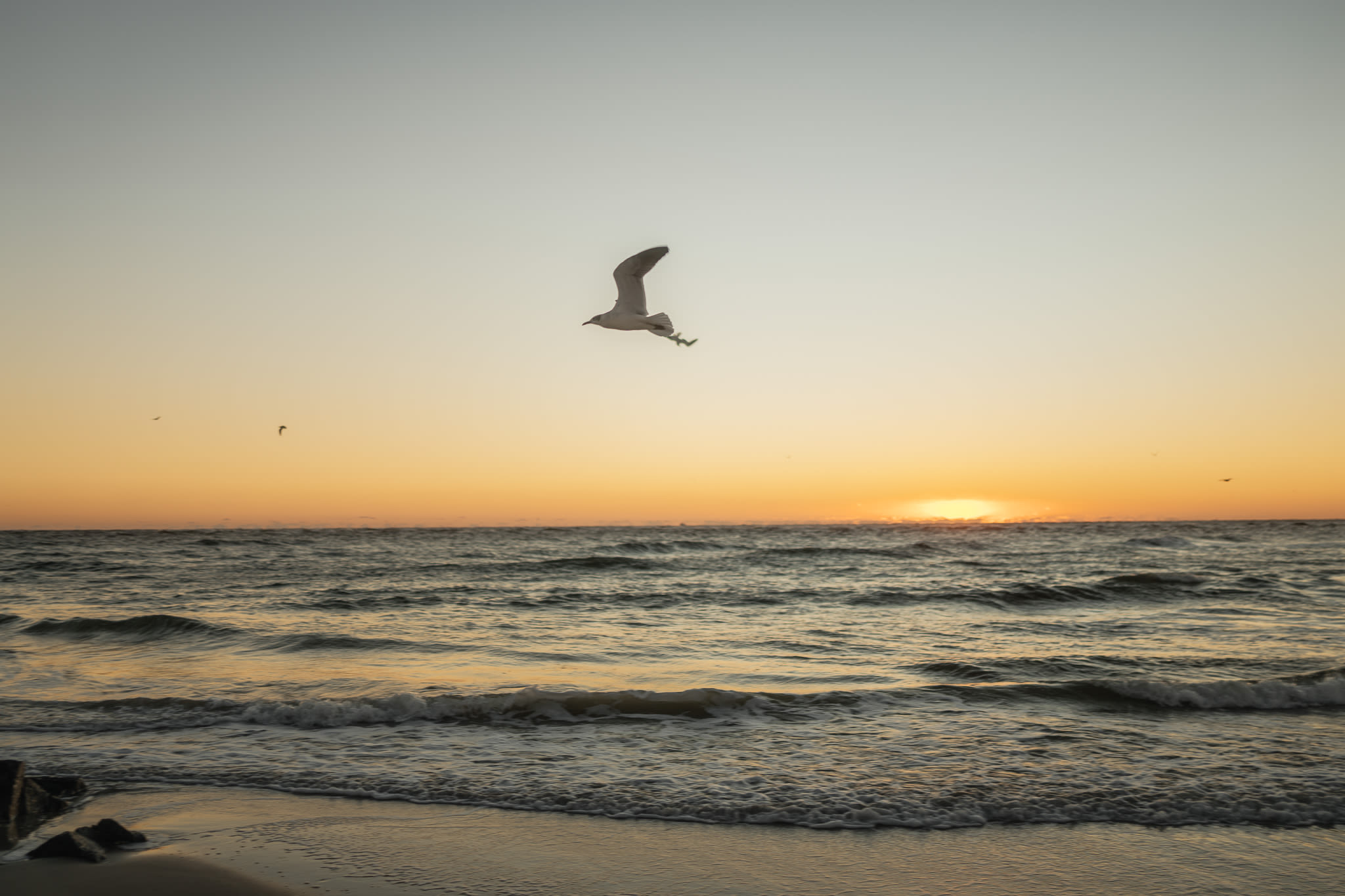 Call to action image of Ready to inquire?