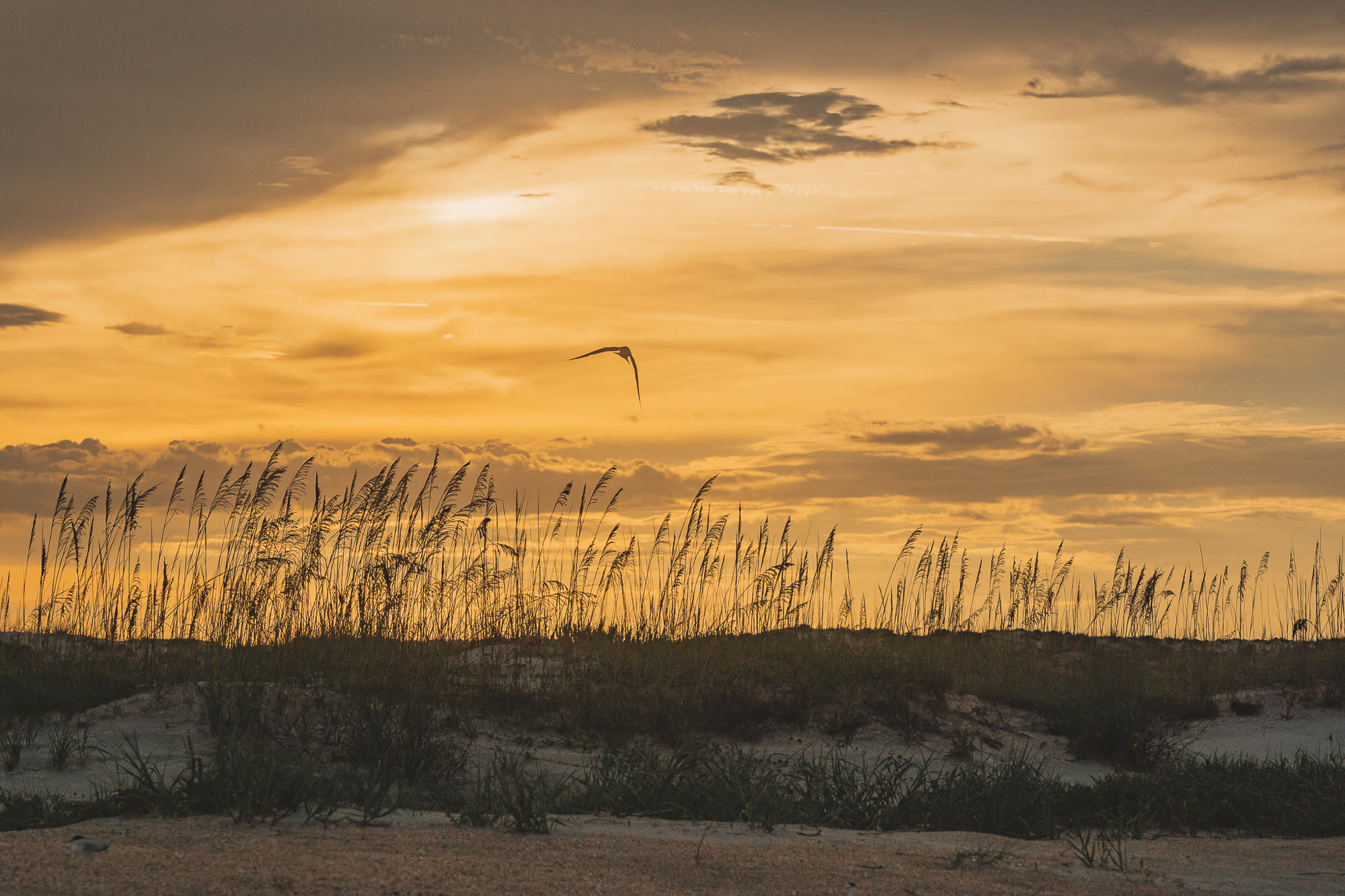 Call to action image of Ready to inquire?