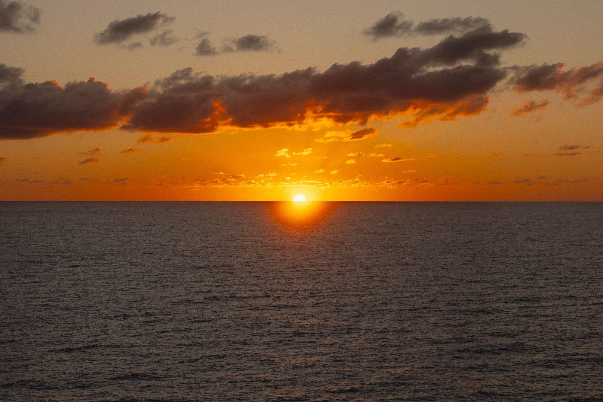 First Coast Photography team