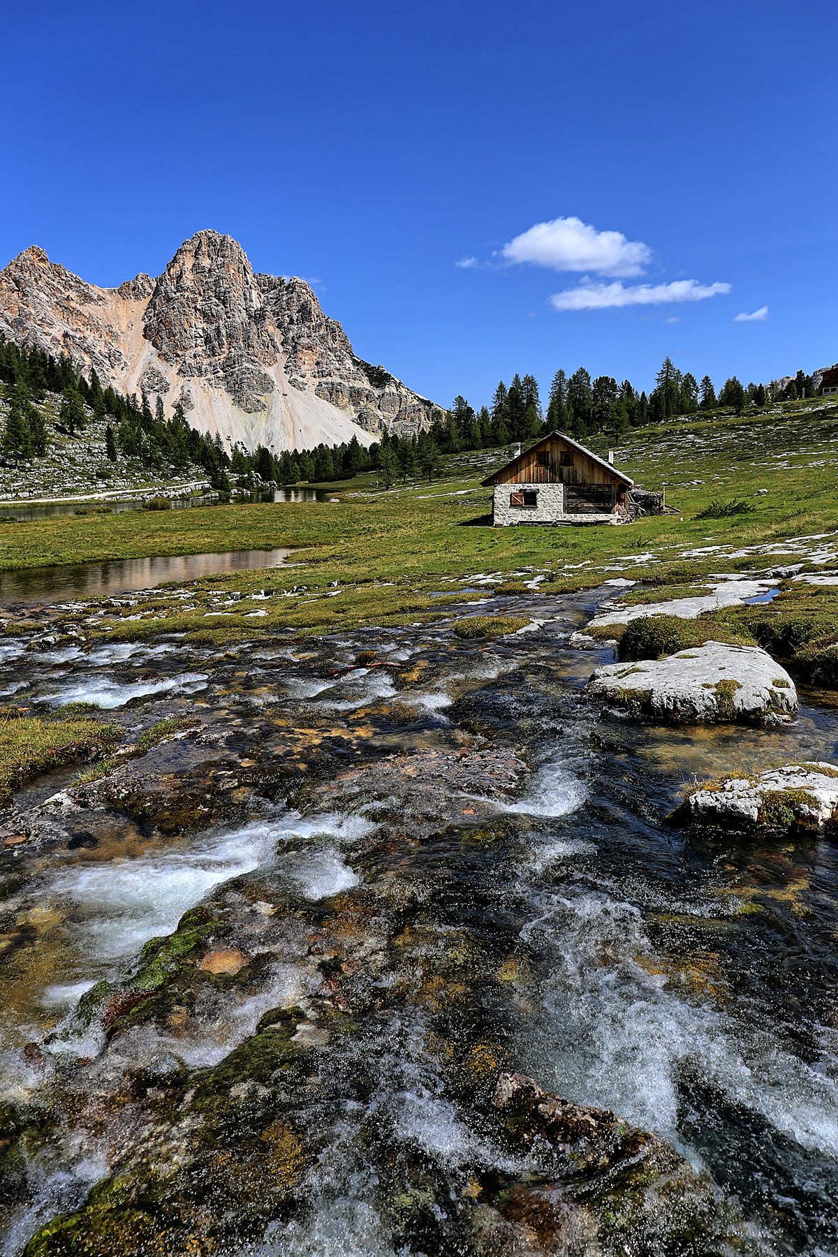 🌲 Passeggiata Baita Velon – Malga Pecè