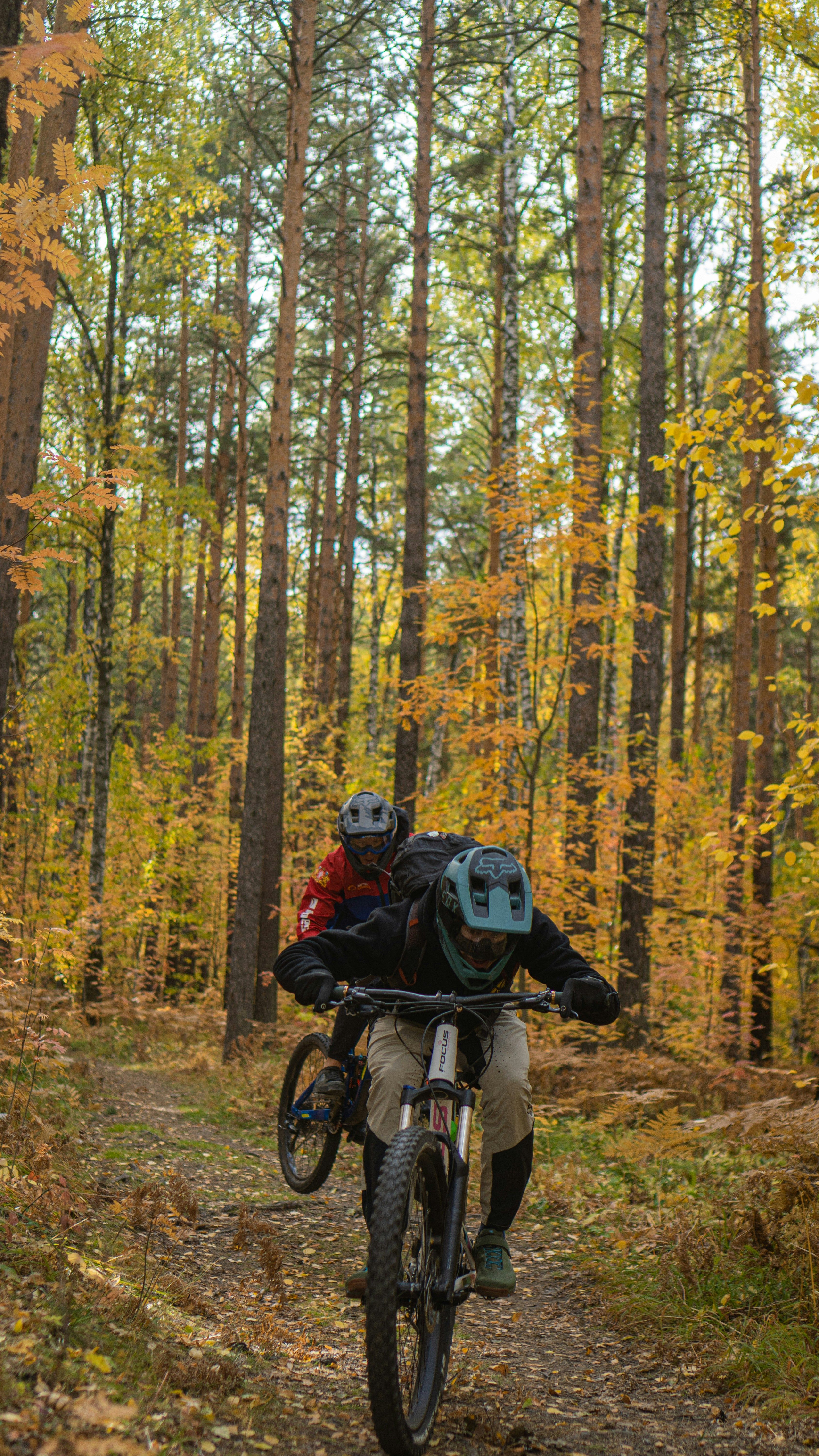 🚲 Pista Ciclabile della Val di Sole