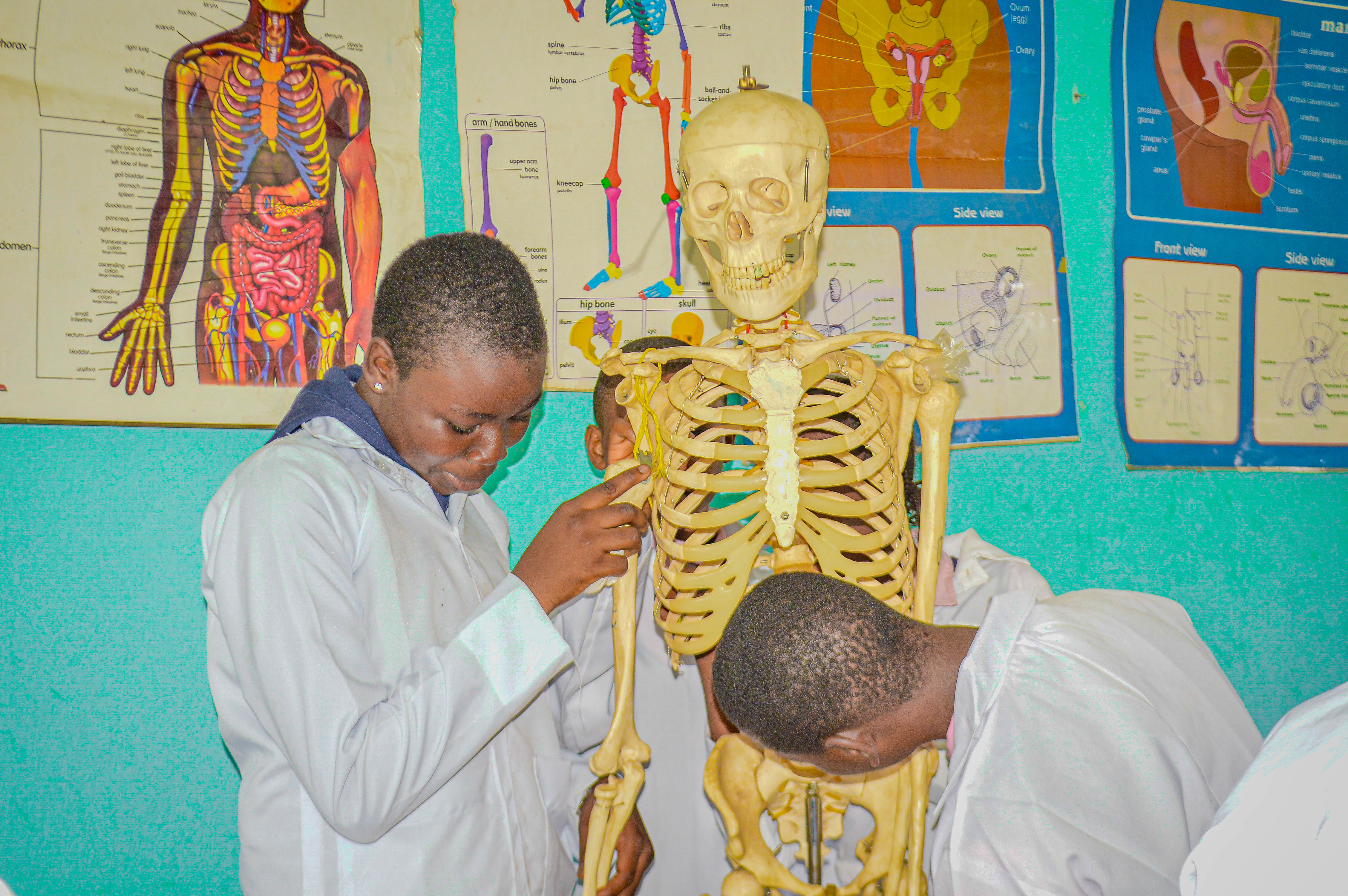 Science fair