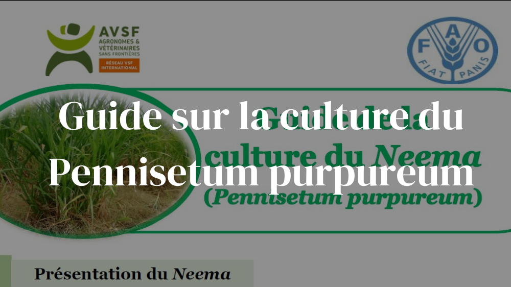 Maralfalfa fiche technique par FAO ET AVSF