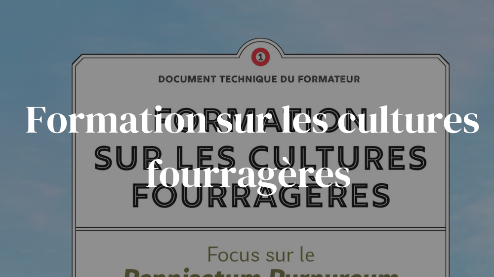 Formation sur les cultures fourragères