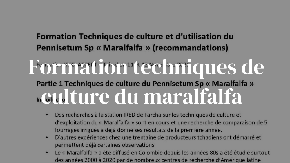 Formation techniques de culture et d'utilisation du maralfalfa