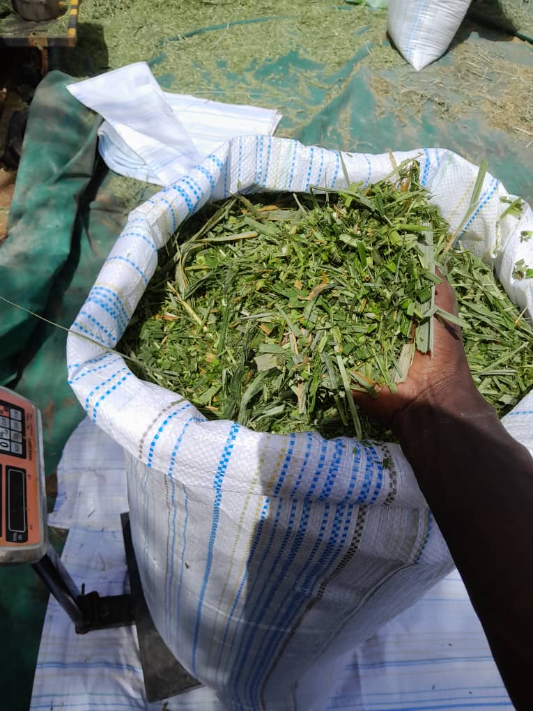 Sac maralfalfa frais 30 kg - Fourrage vert