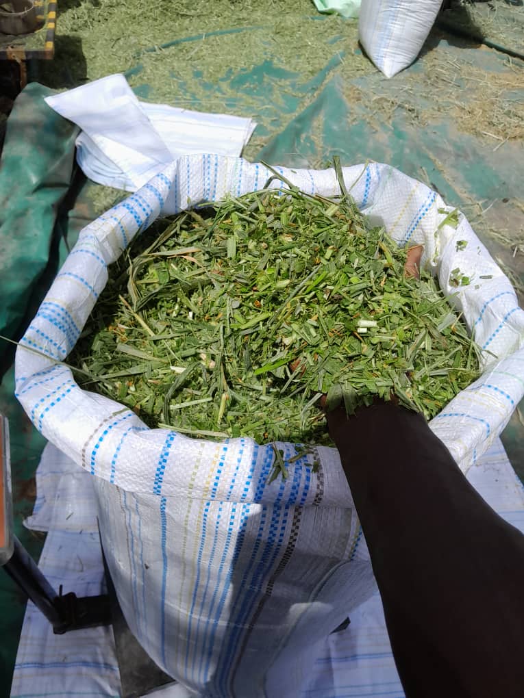 Vue detaillee de Sac maralfalfa frais 30 kg - Fourrage vert