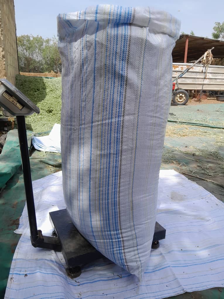 Sac maralfalfa frais 40 kg - Fourrage vert