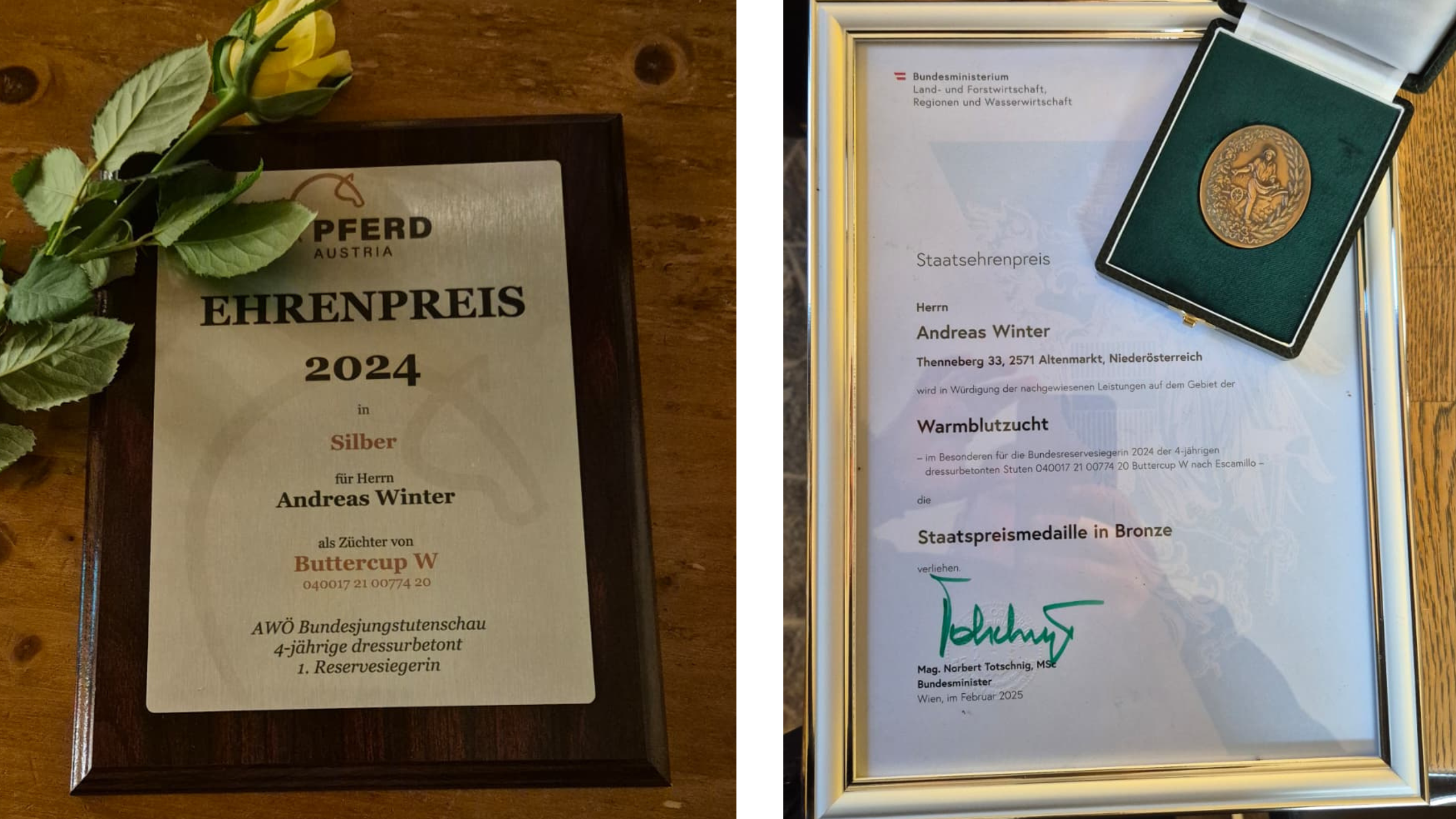Ehrenpreis Dressurpferdezucht Andreas Winter 2024