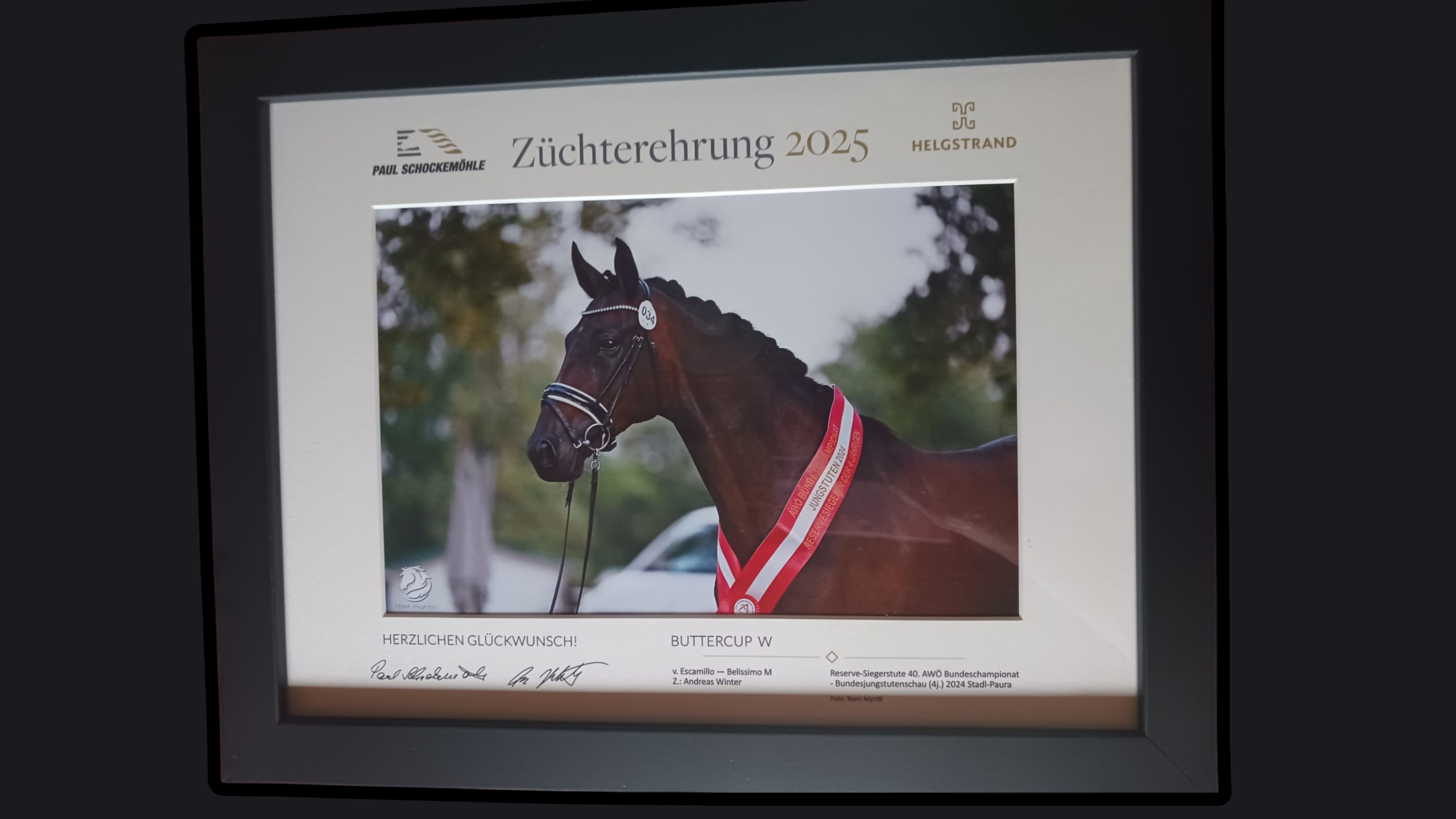 Züchterehrung 2025