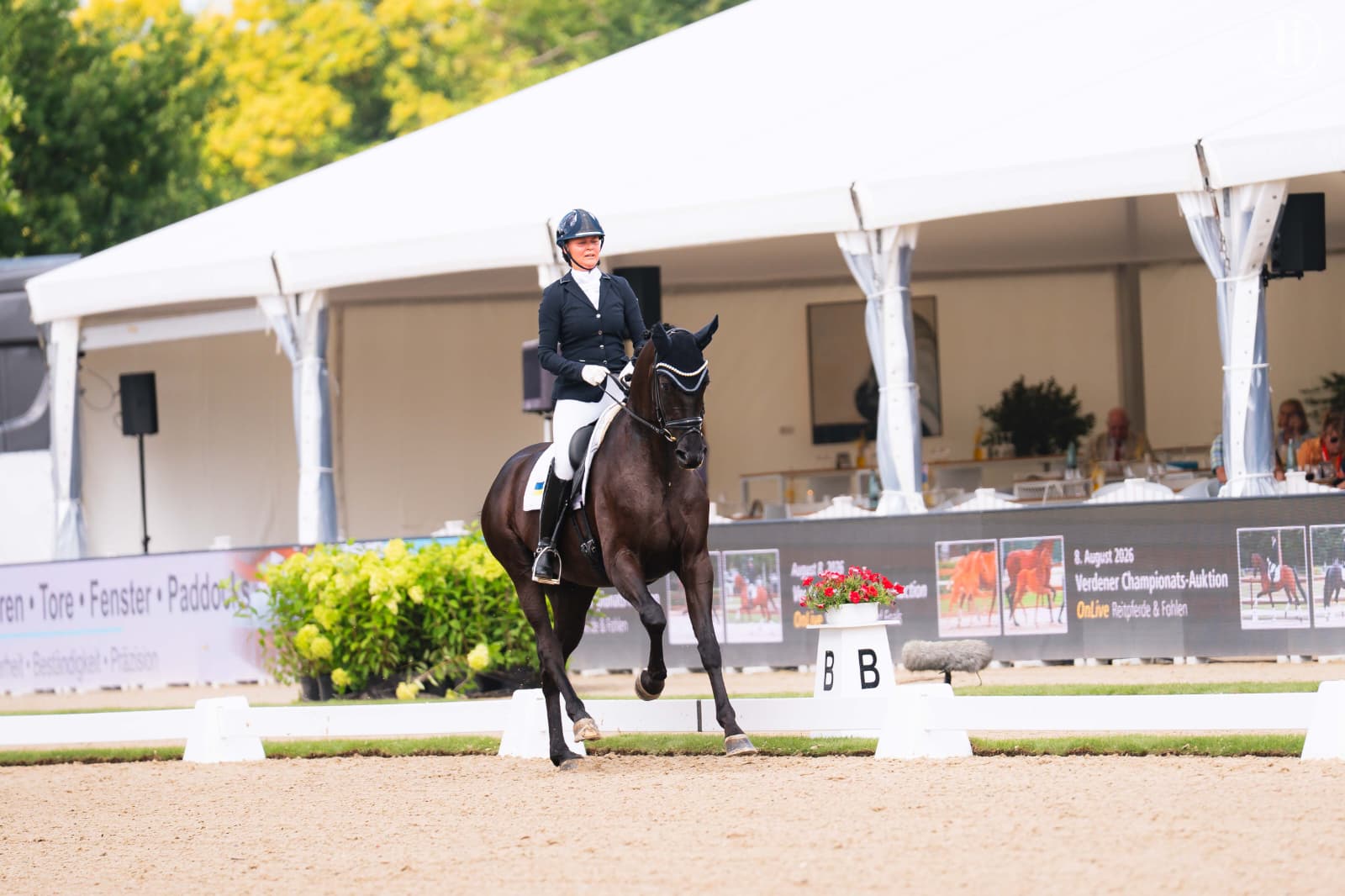Young dressage horse from Gestüt Winter breeding presented at an event arena