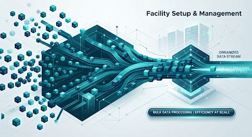 Bulk Import & Validation