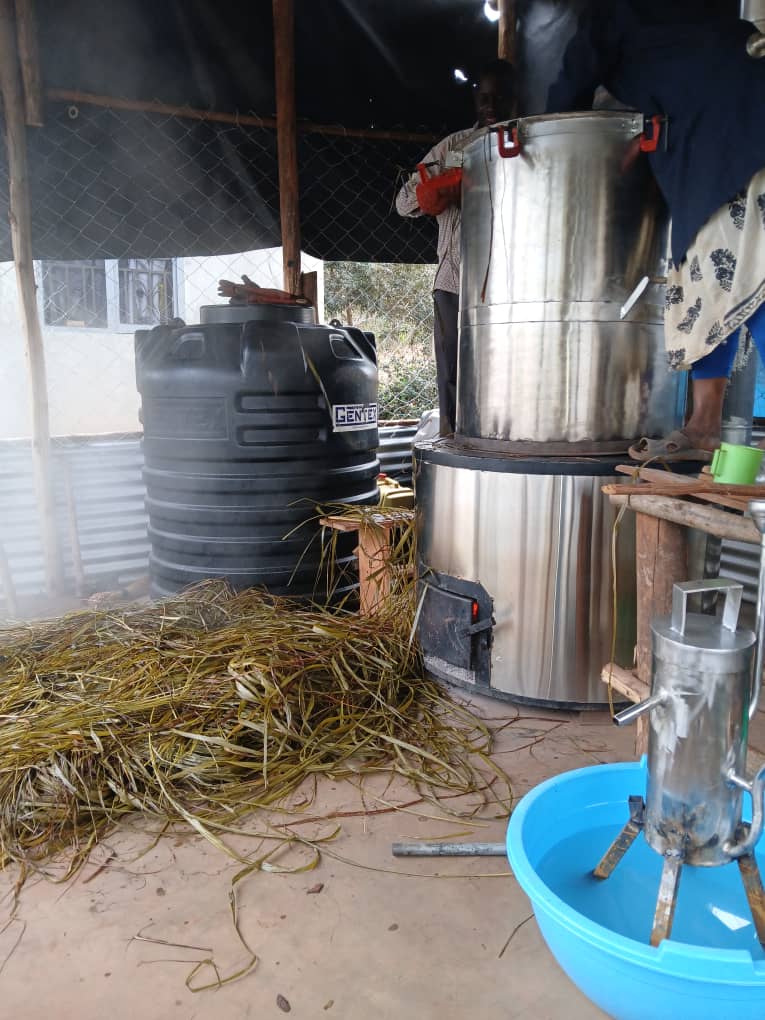 Lemongrass Hydrosol (Floral Water)