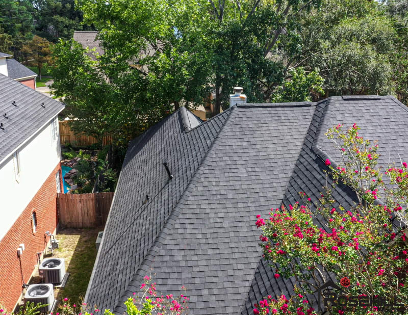 Redbud Leaf LN – Image 4