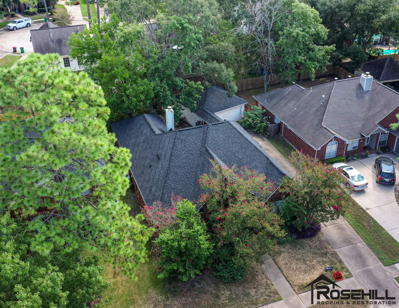 Redbud Leaf LN – Image 6