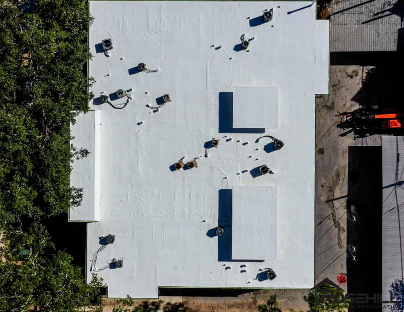 Kipling – Image 10