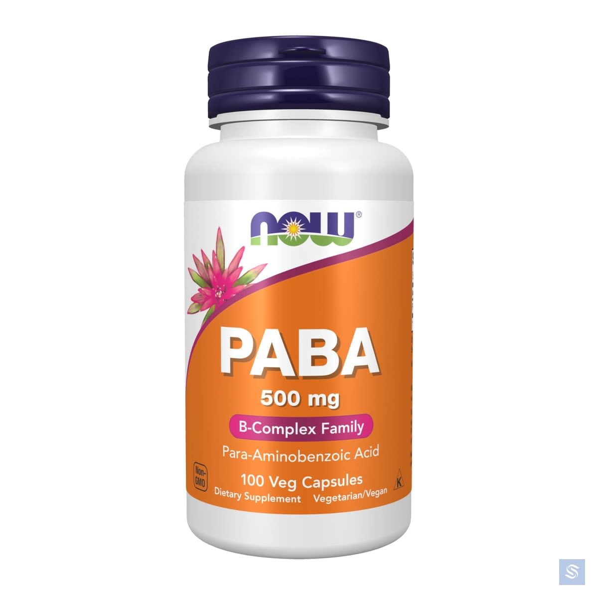 ناو مكمل PABA (حمض بارا أمينوبنزويك)، يدعم صحة البشرة وتصبغ الشعر، كبسولات، 500 ملغ - 100 كبسولة