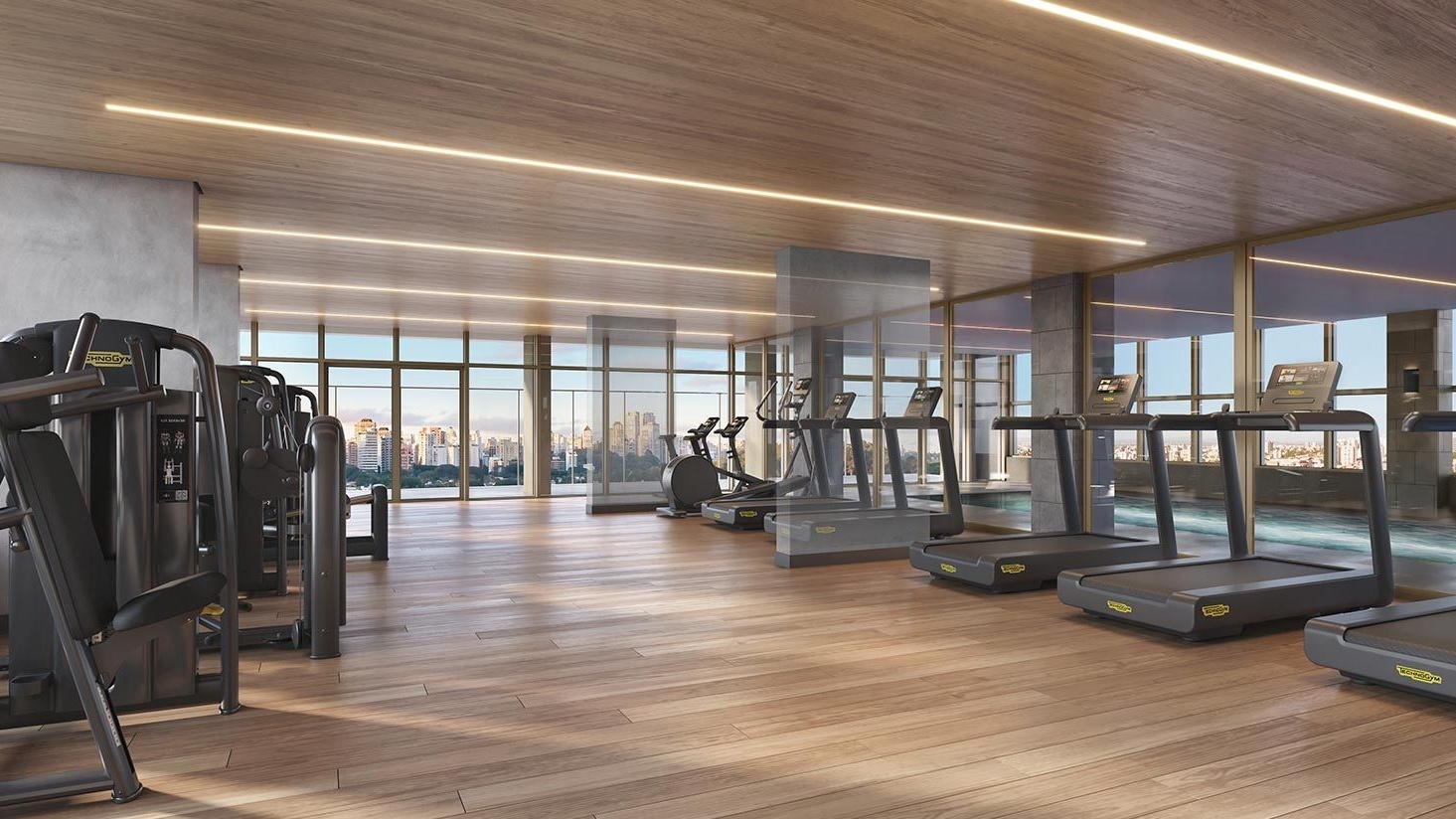 Perspectiva artística do fitness