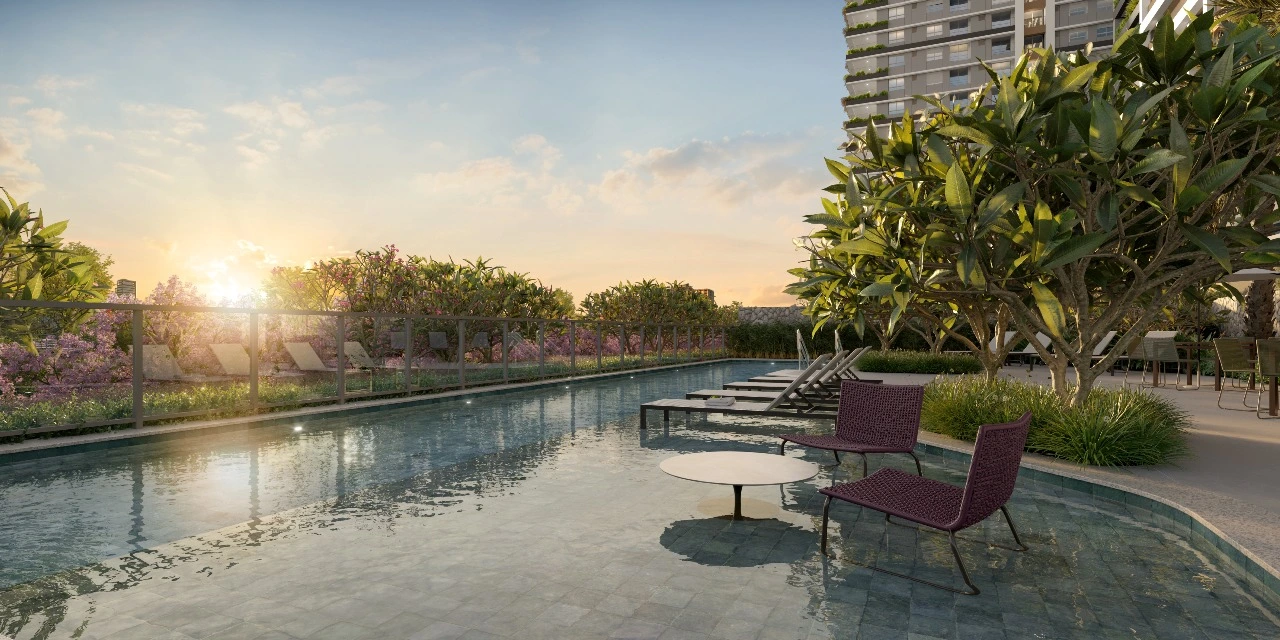 Piscina Descoberta do The Rose Collection