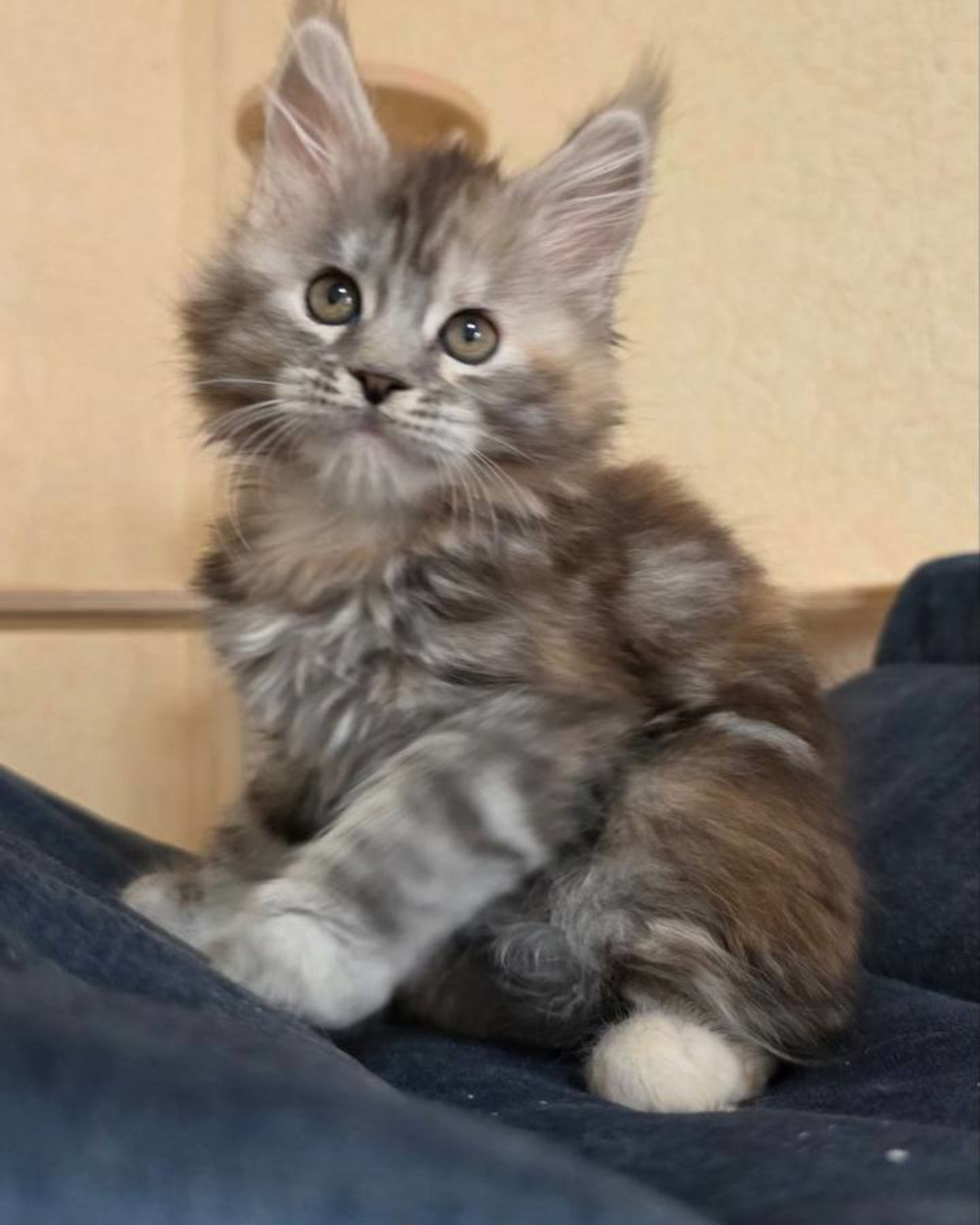 Mimi, ready to meet you