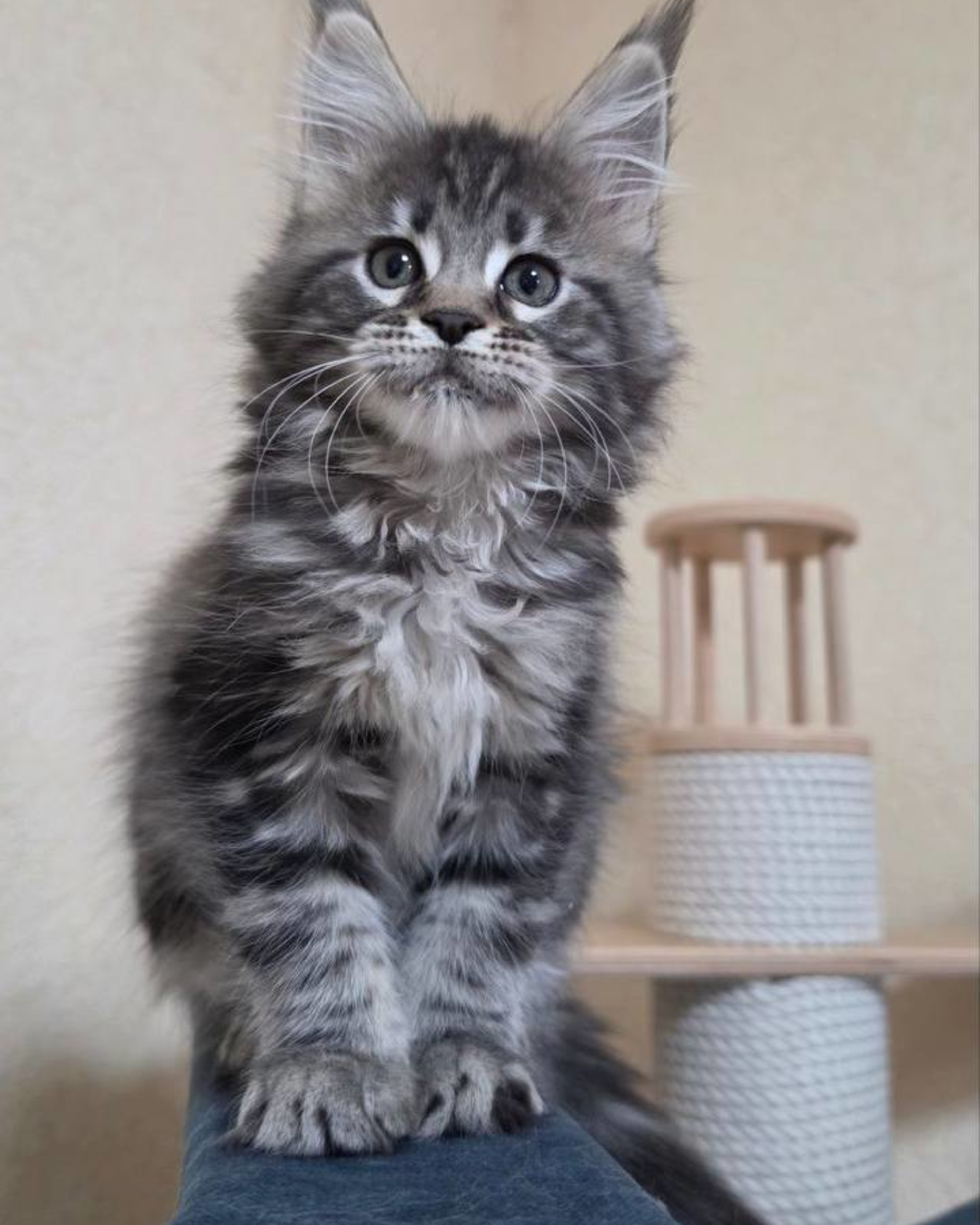 Troy, ready to meet you