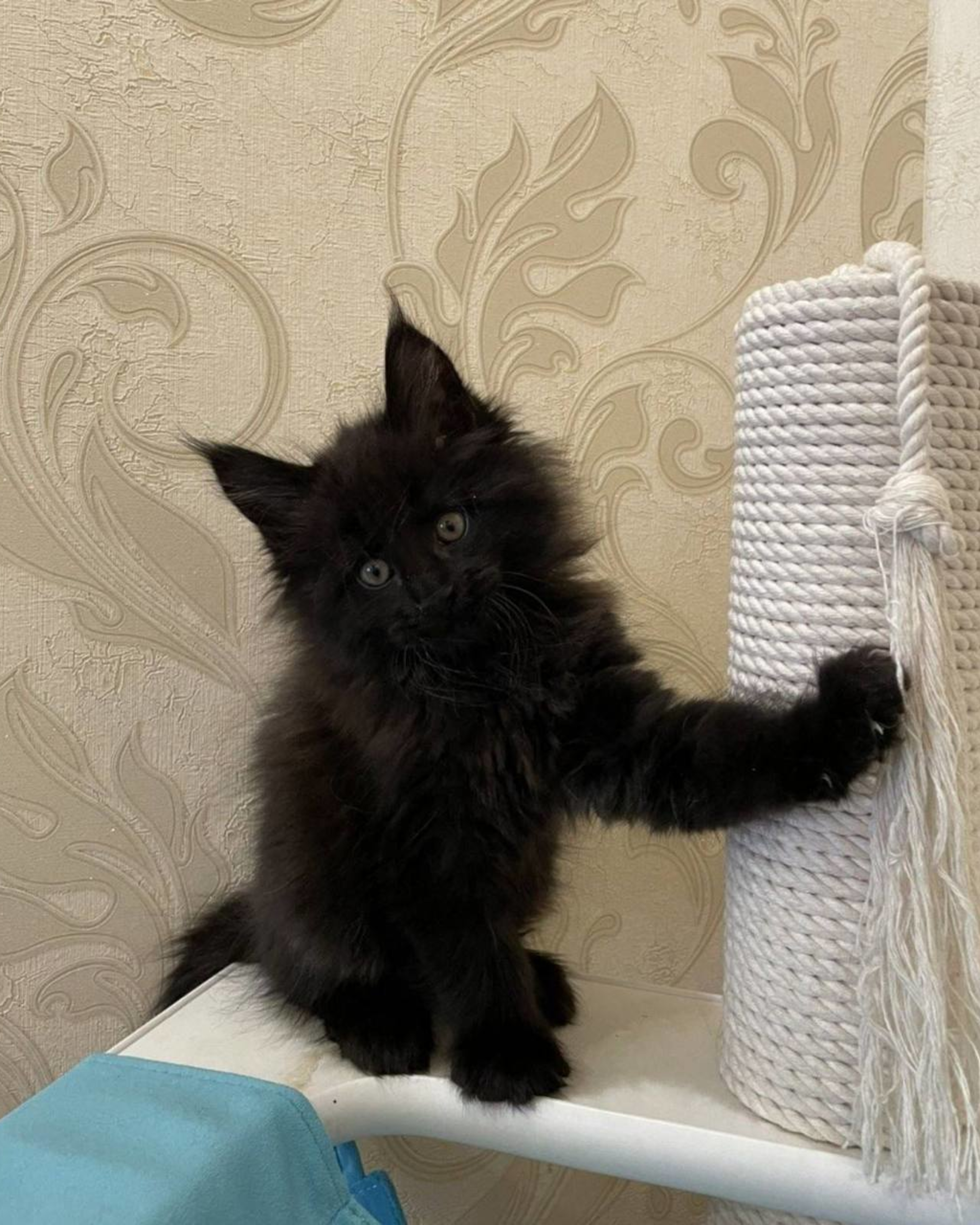 Tim, ready to meet you