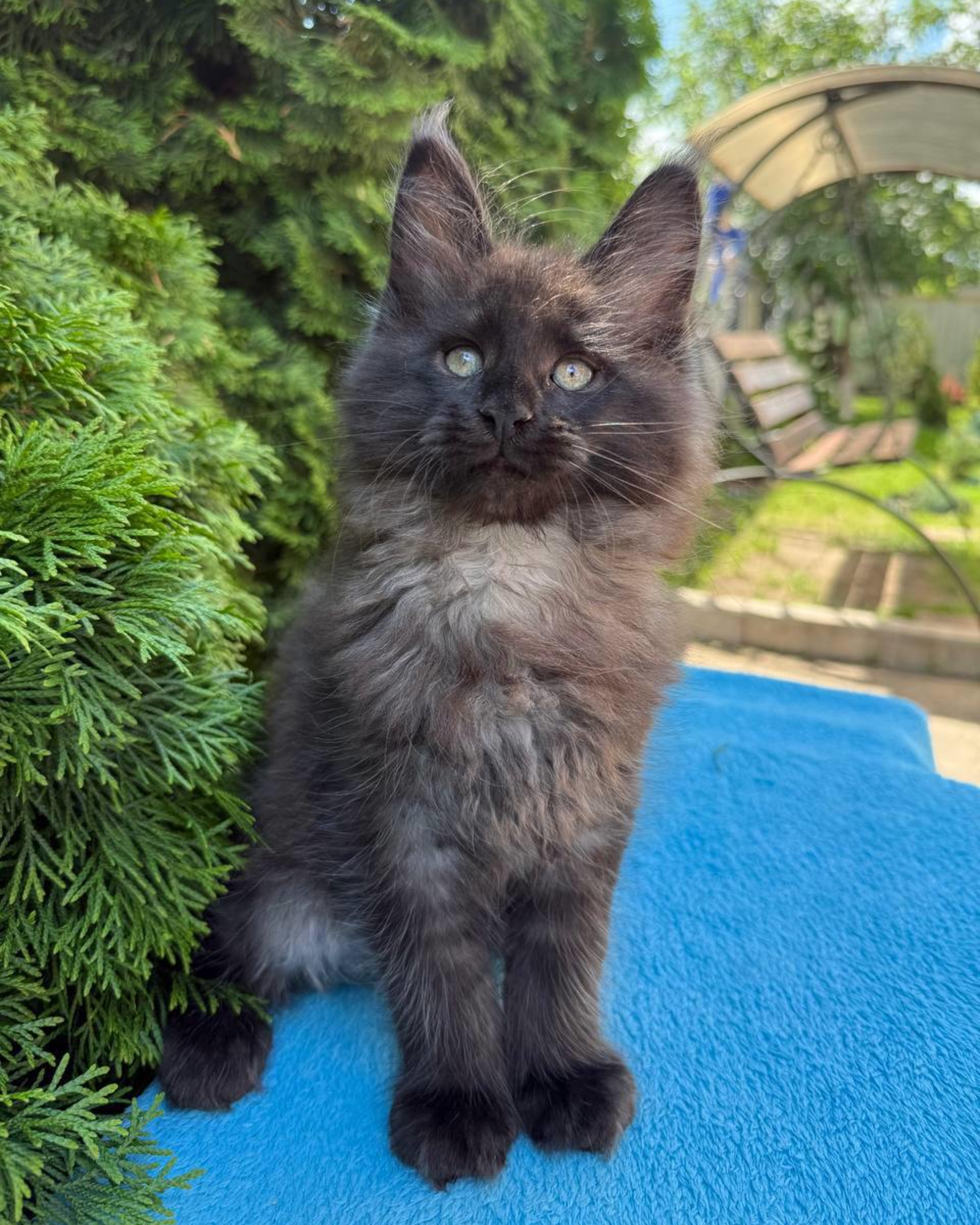 Tyson, ready to meet you