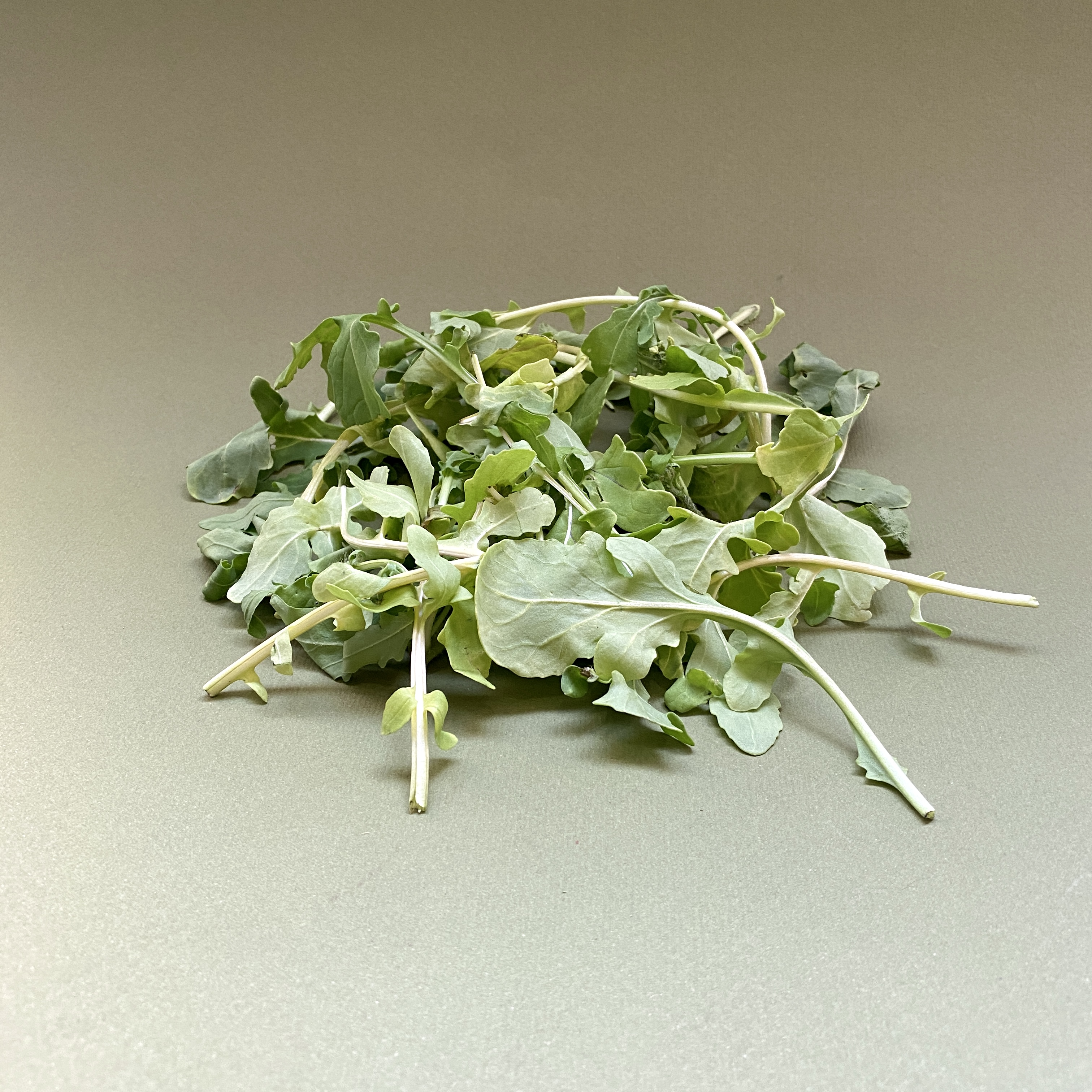 Arúgula - 0