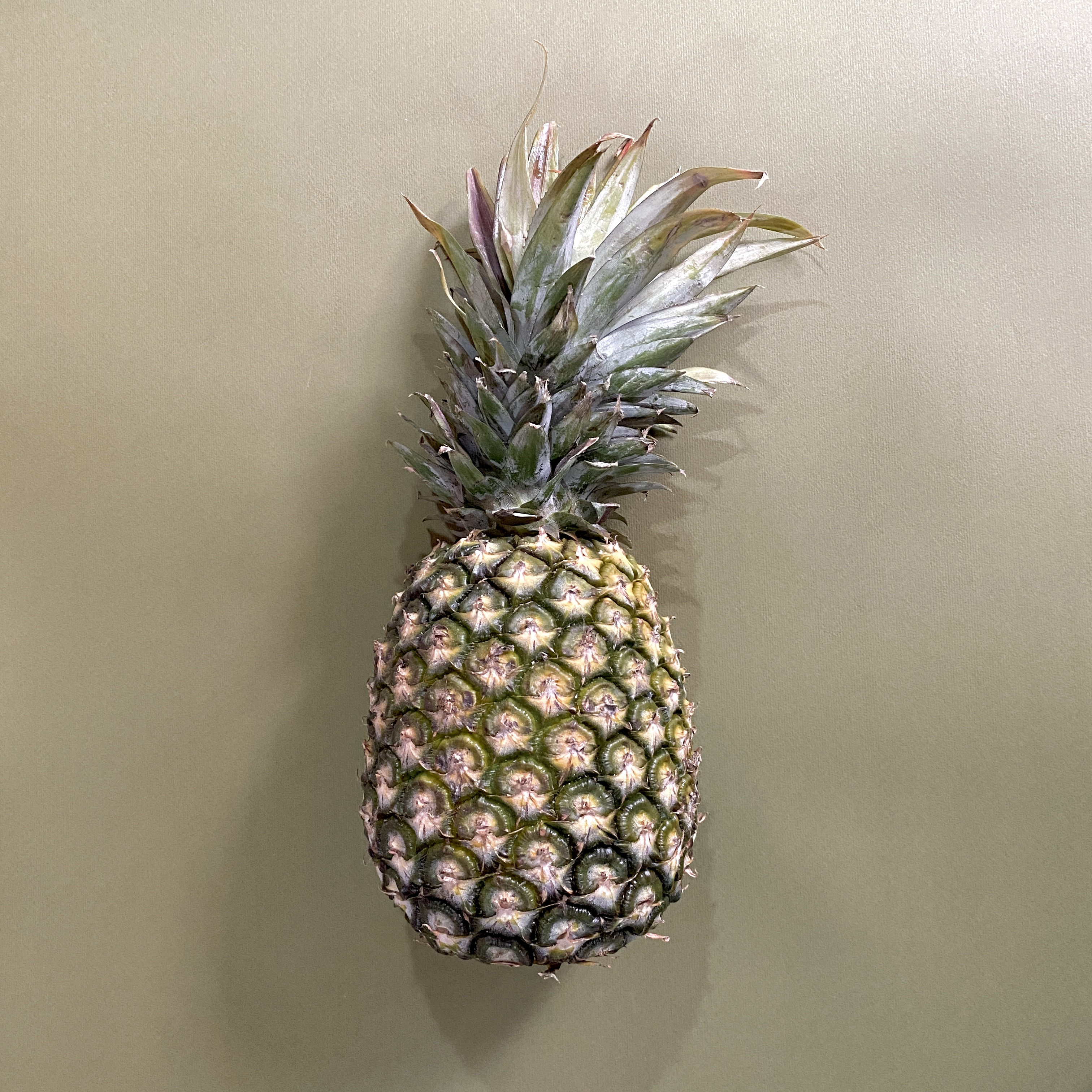 Piña Cayena - 0