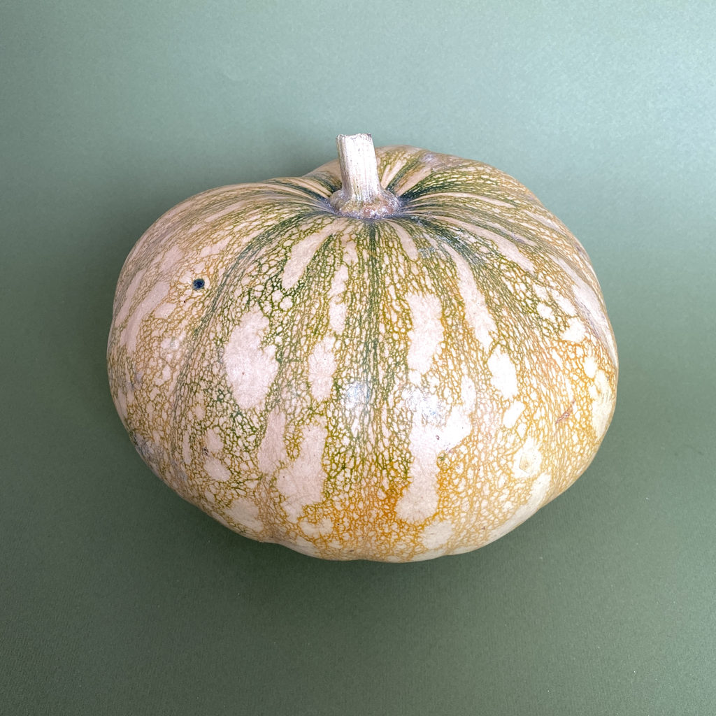 Calabaza de Castilla - 0