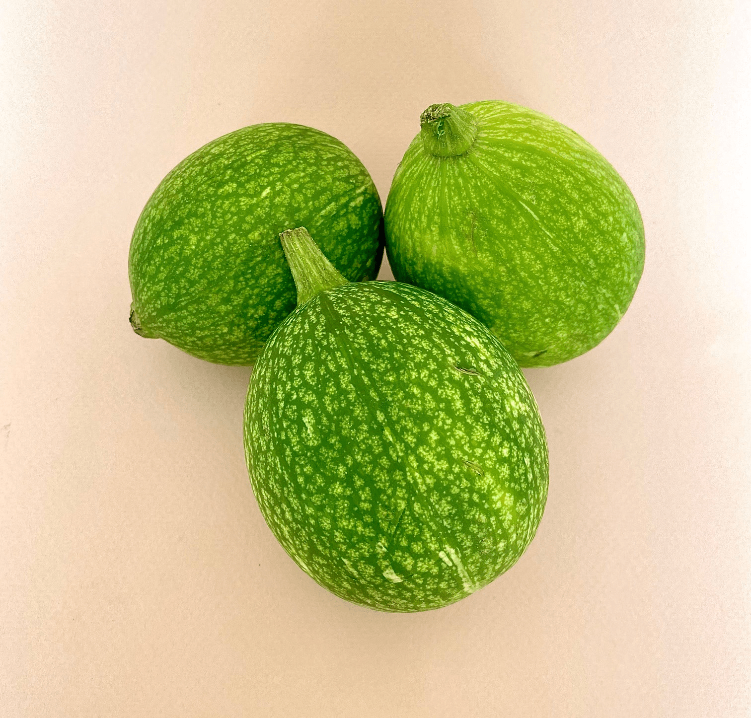Calabaza Chilacayote - 0