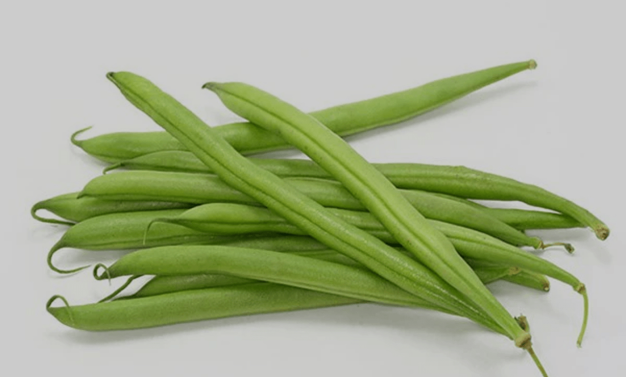 Ejote - 1