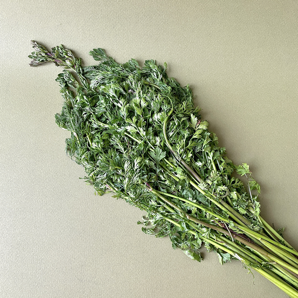 Cilantro Criollo - 0