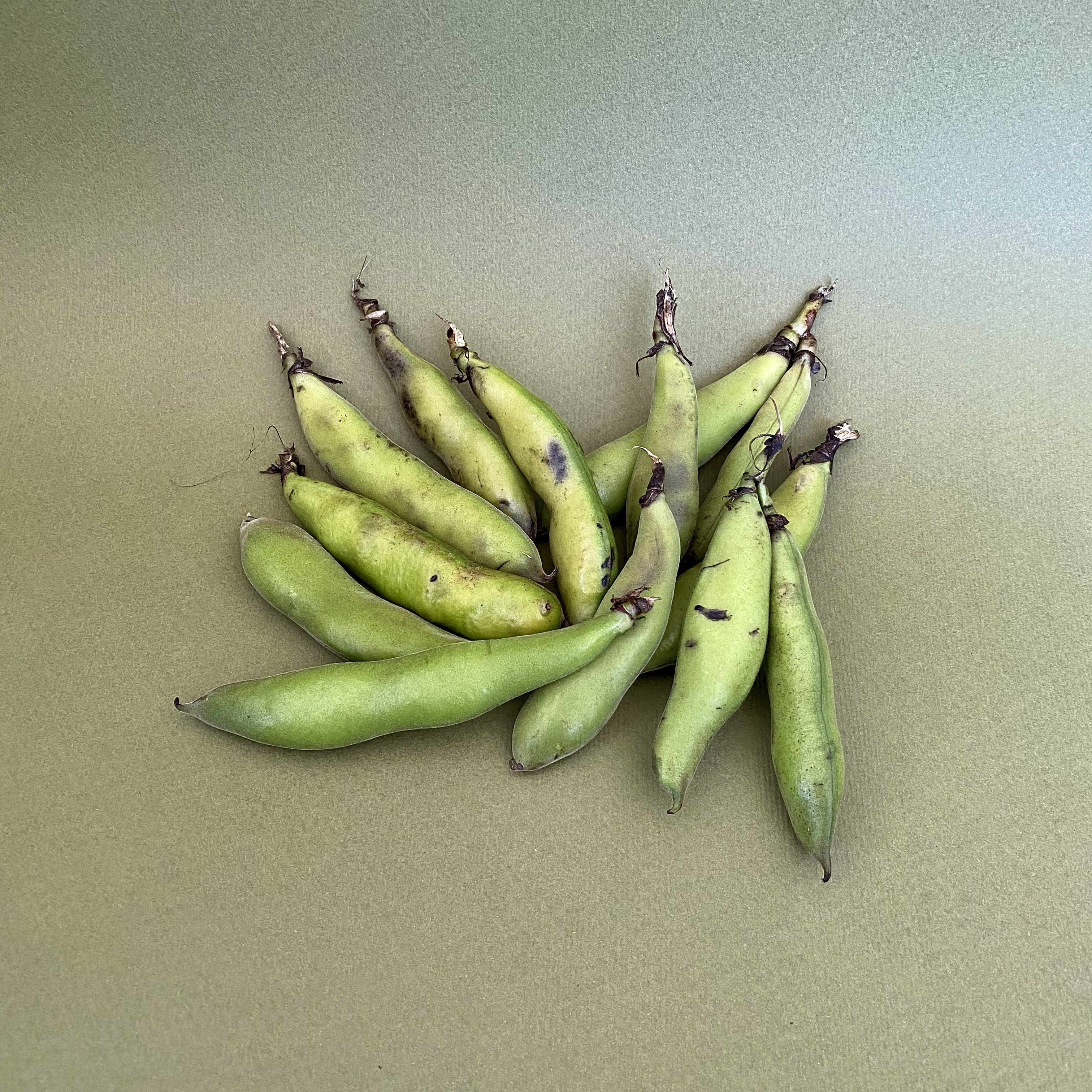 Haba Verde en Vaina - 0