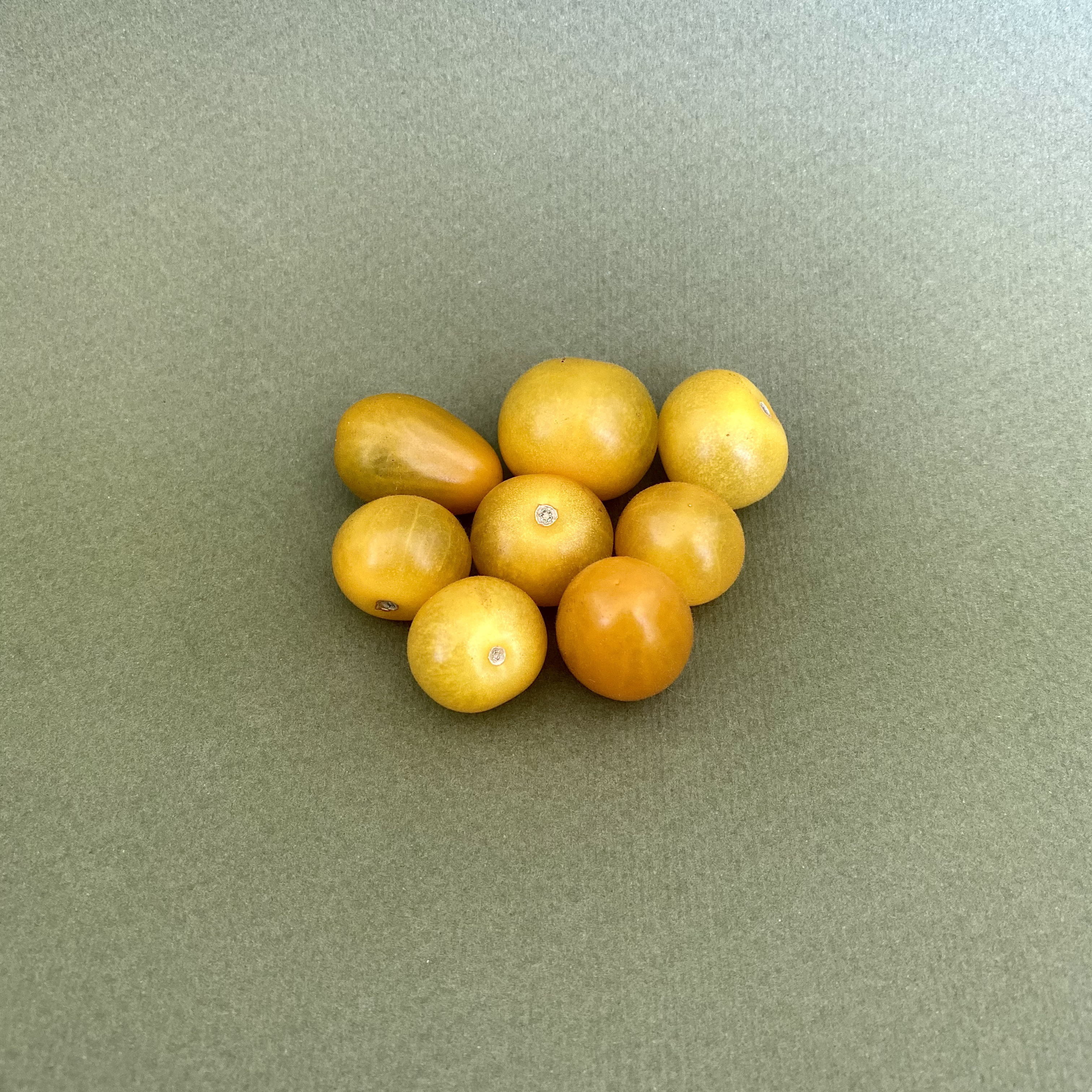 Jitomate Cherry Amarillo Domo - 0