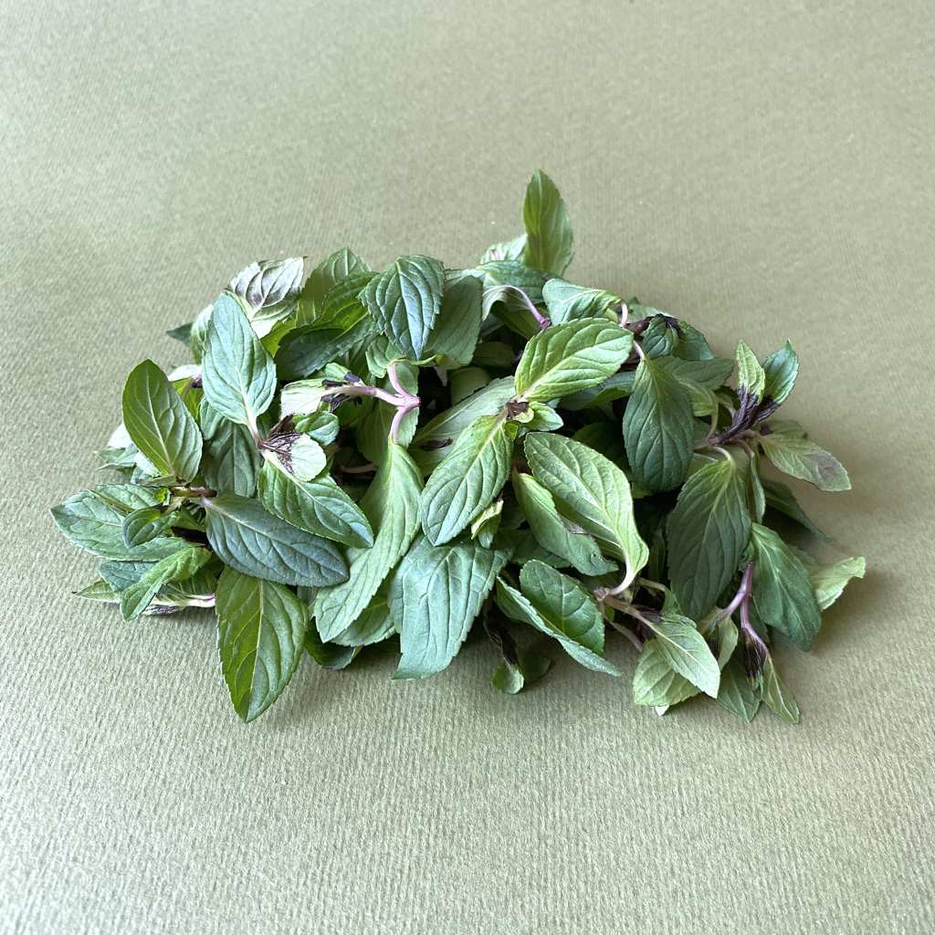 Brote de Menta Domo  - 0
