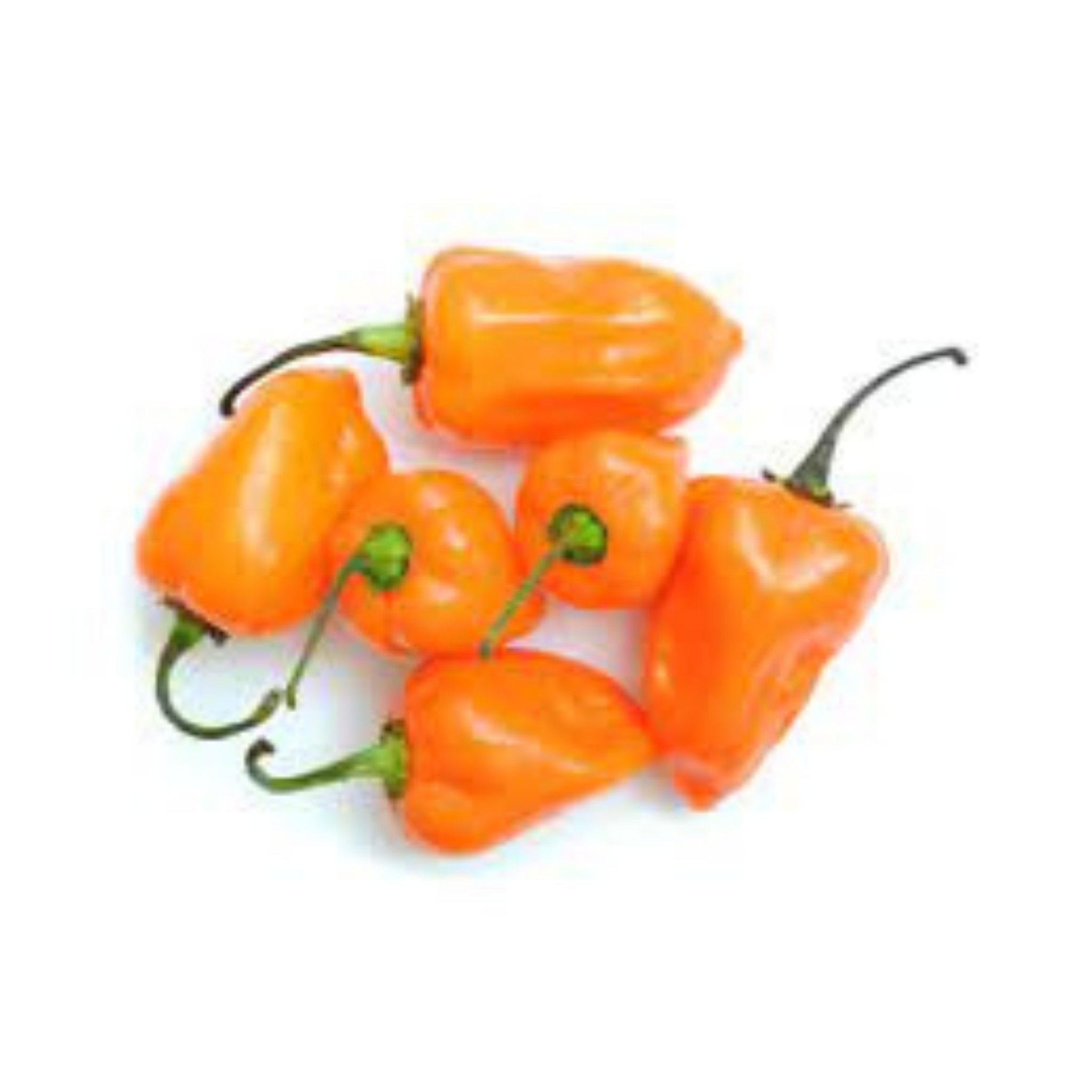 Chile Habanero Naranja - 0