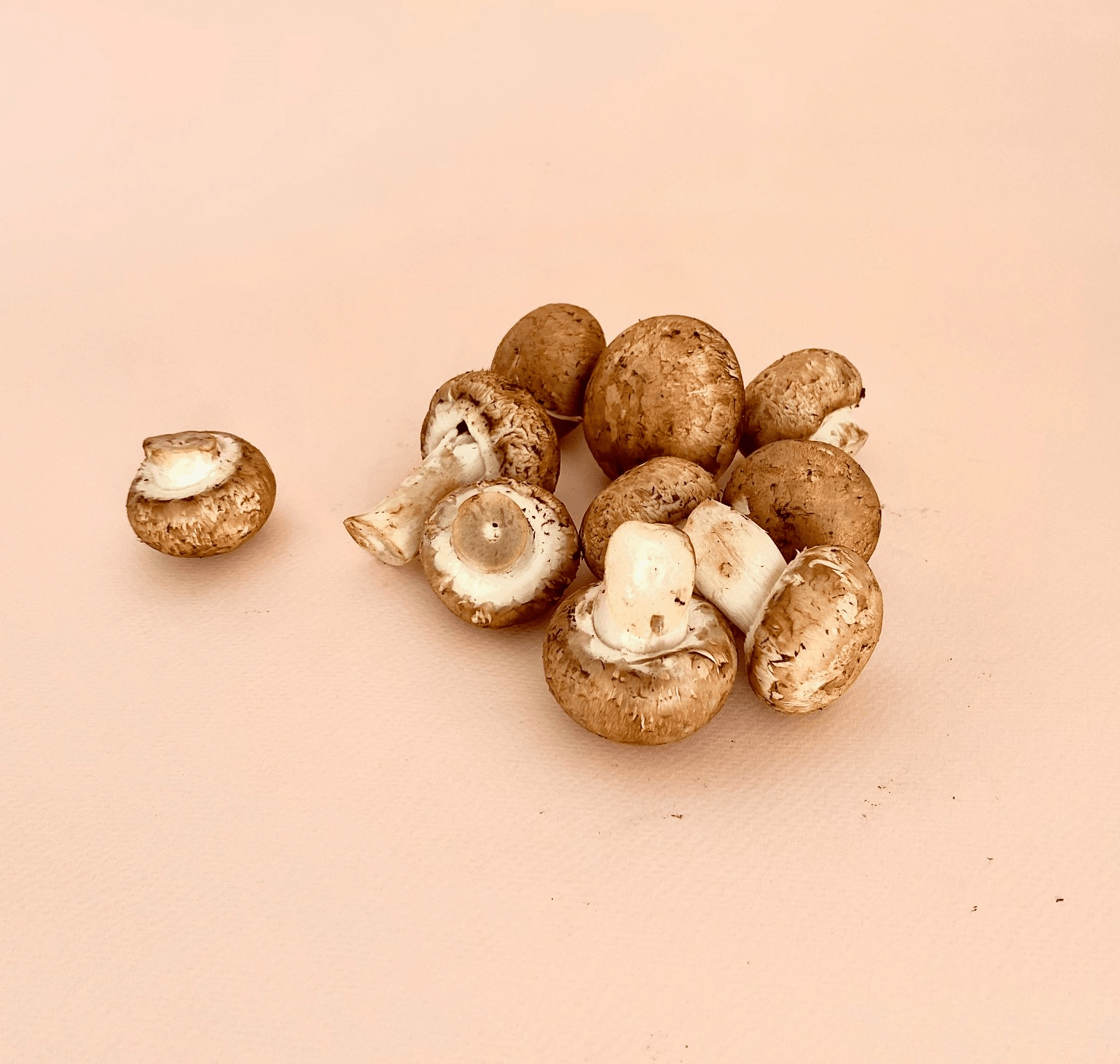 Champiñón Cremini - 0