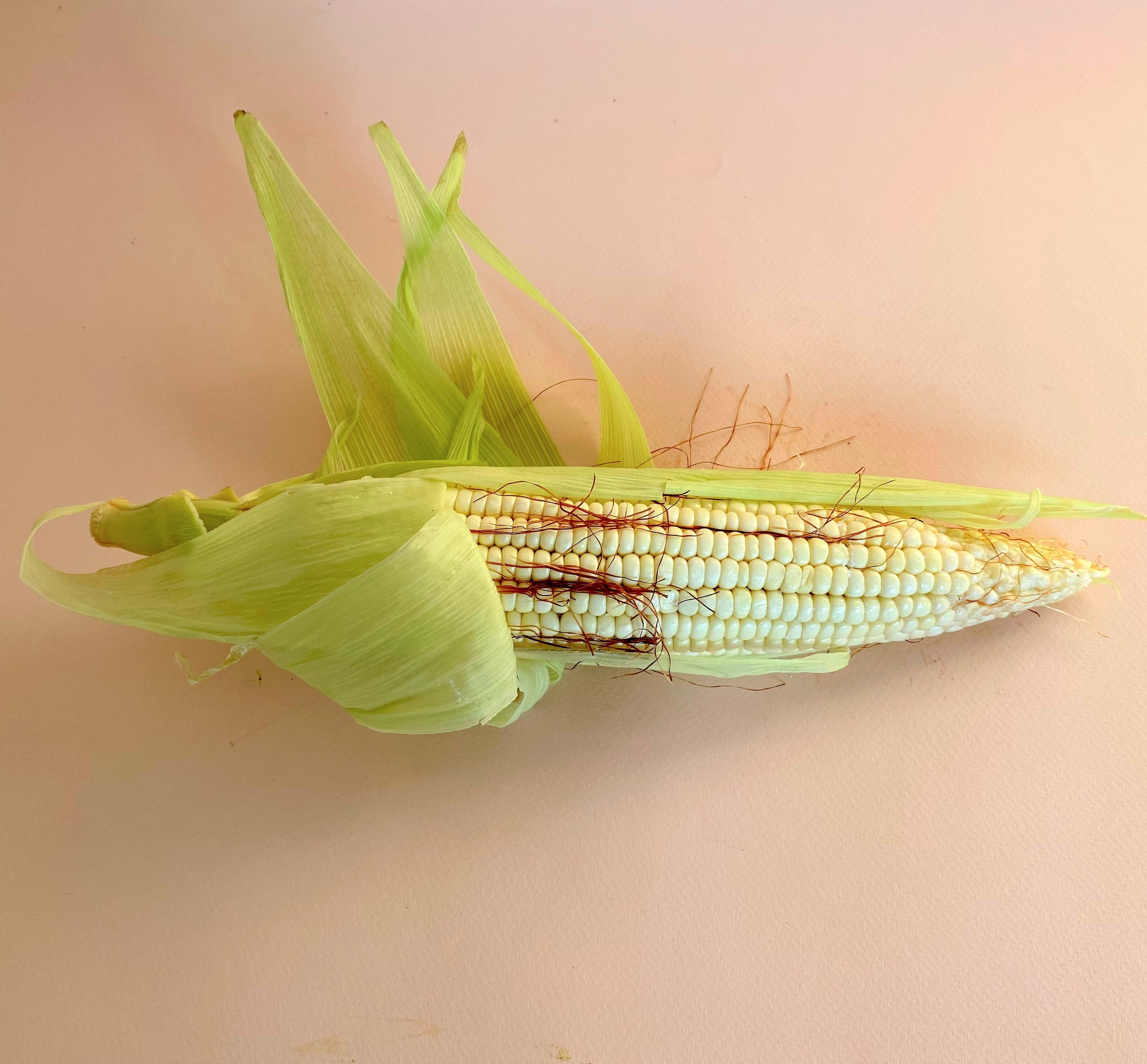 Elote Blanco - 0