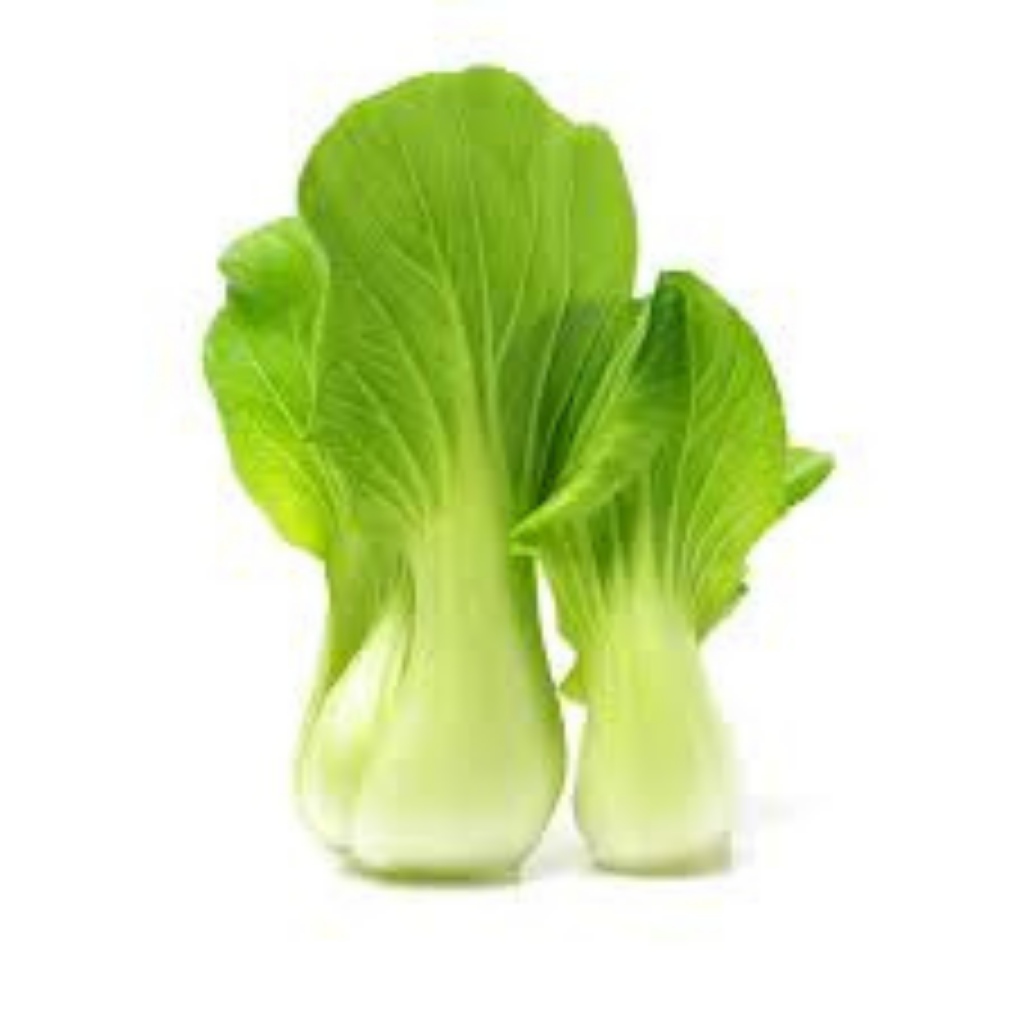 Bok - Choy - 0