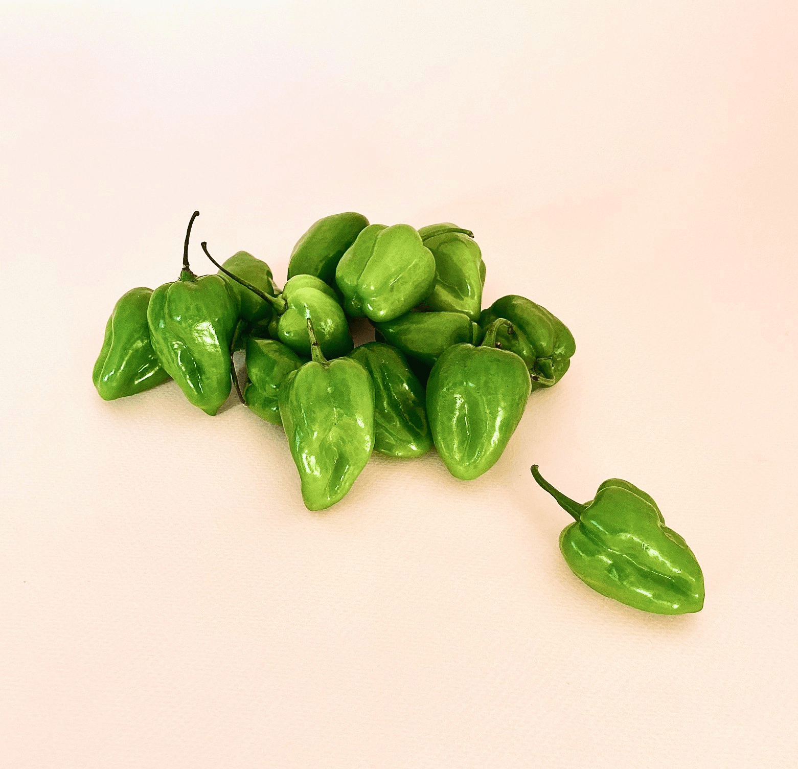 Chile Habanero Verde - 0