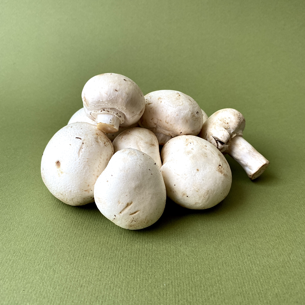 Champiñón Blanco - 0
