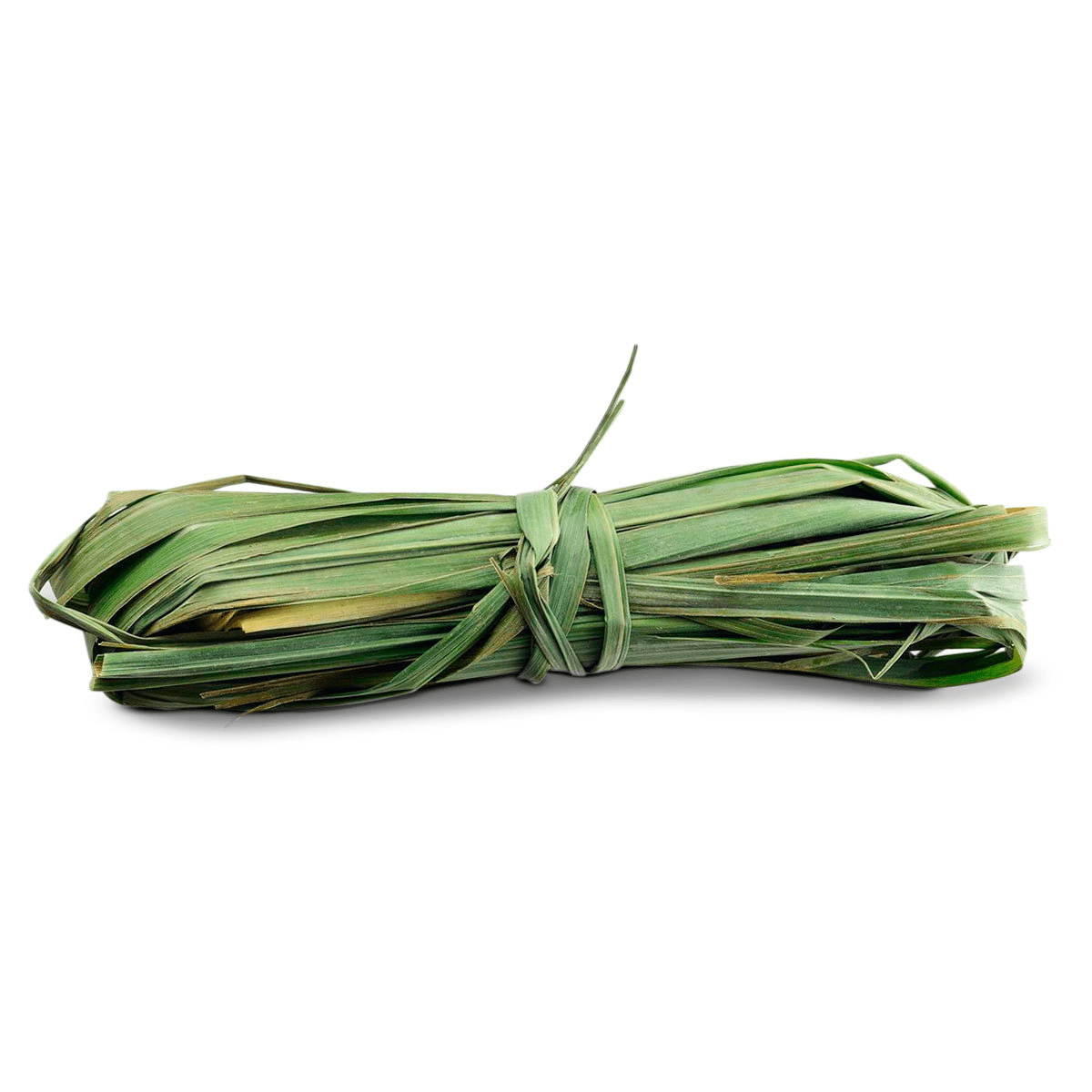 Lemongrass (Zacate Té Limón) - 0