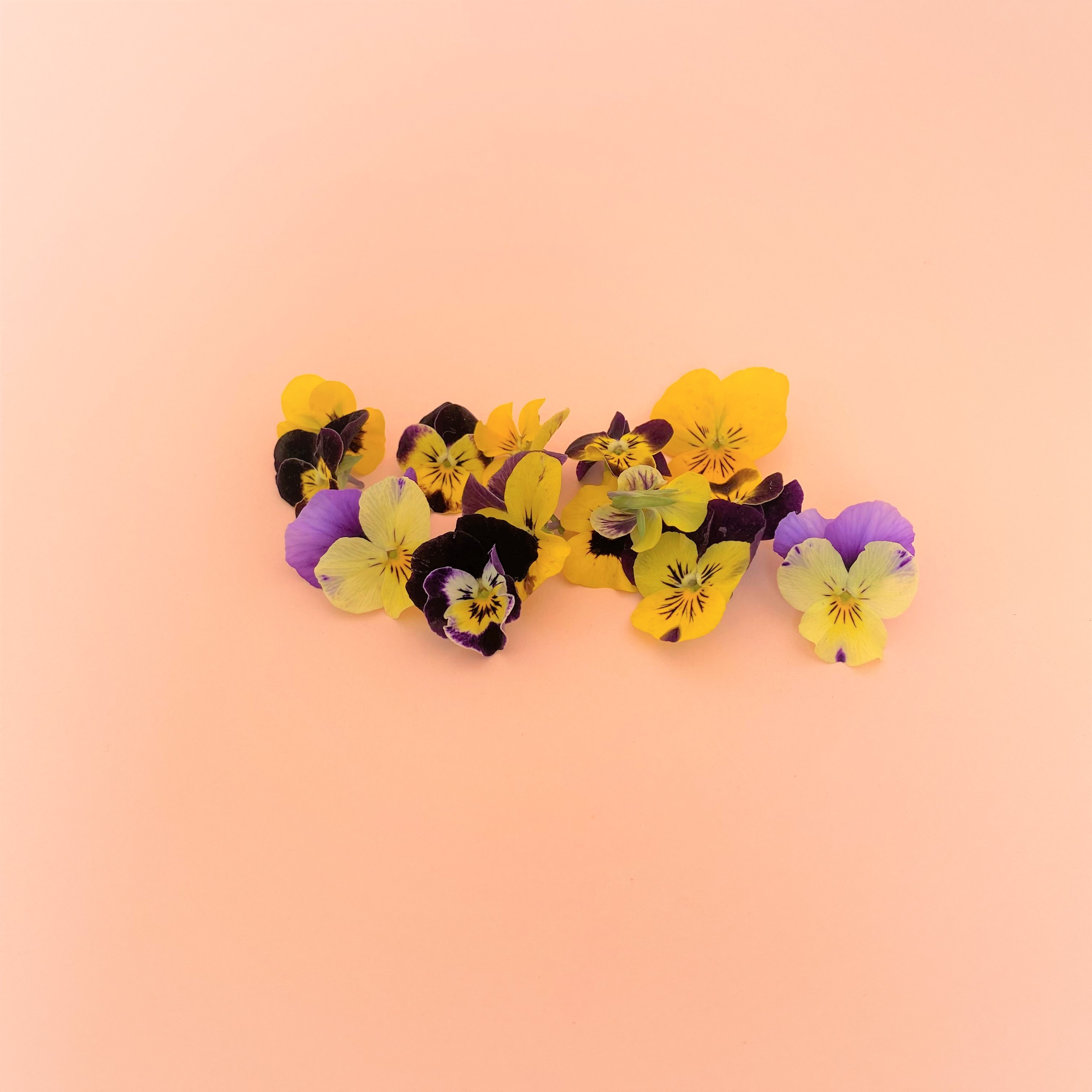 Flores Comestibles Baby (Pensamientos) - 0
