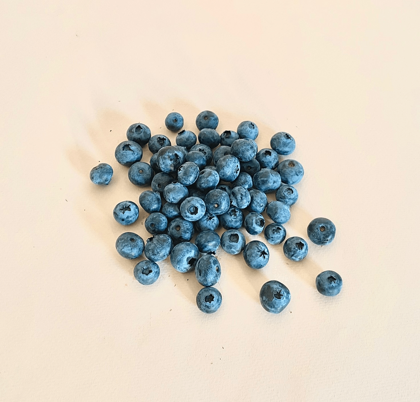 Mora Azul (Blueberry) Domo  - 0