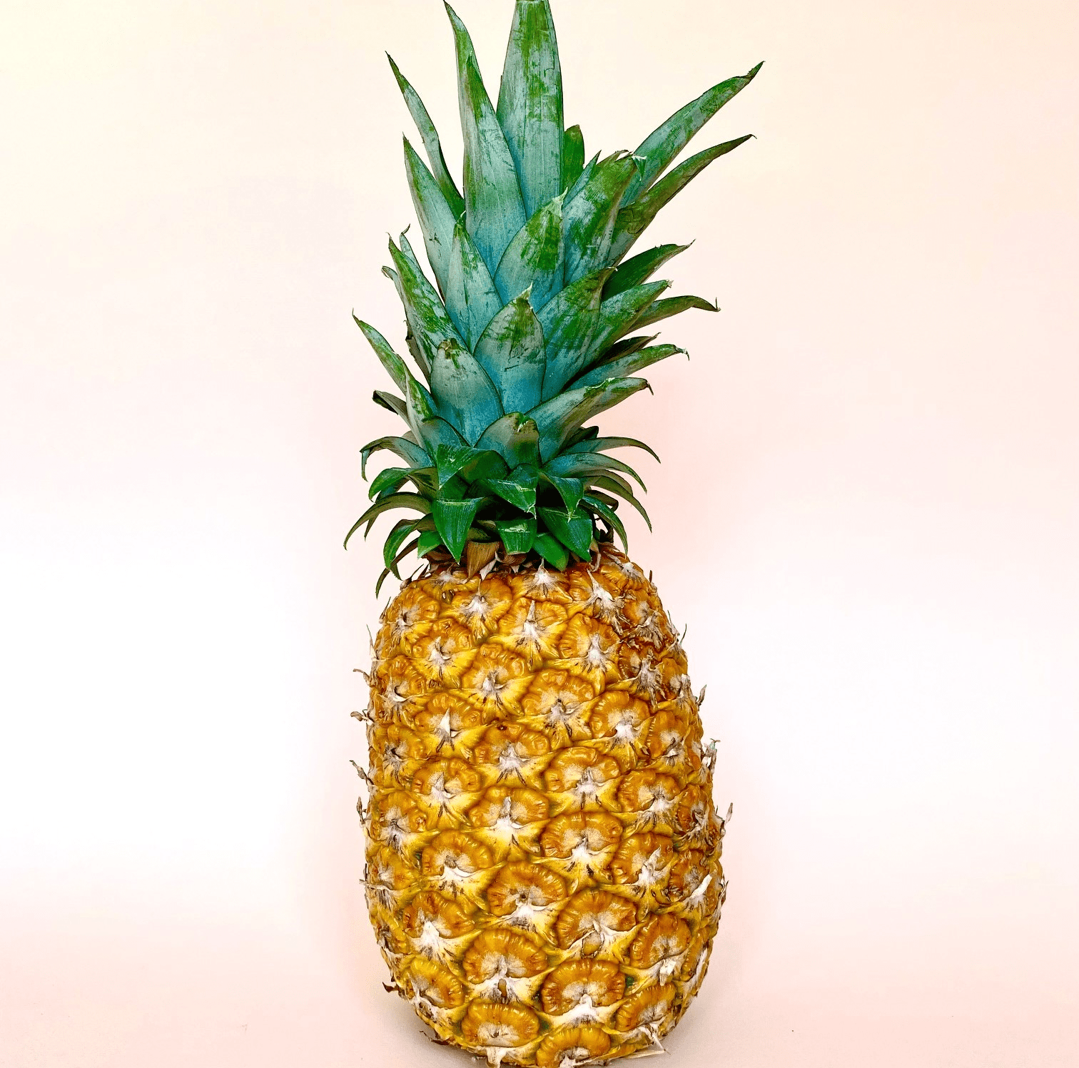Piña Miel Grande  - 0